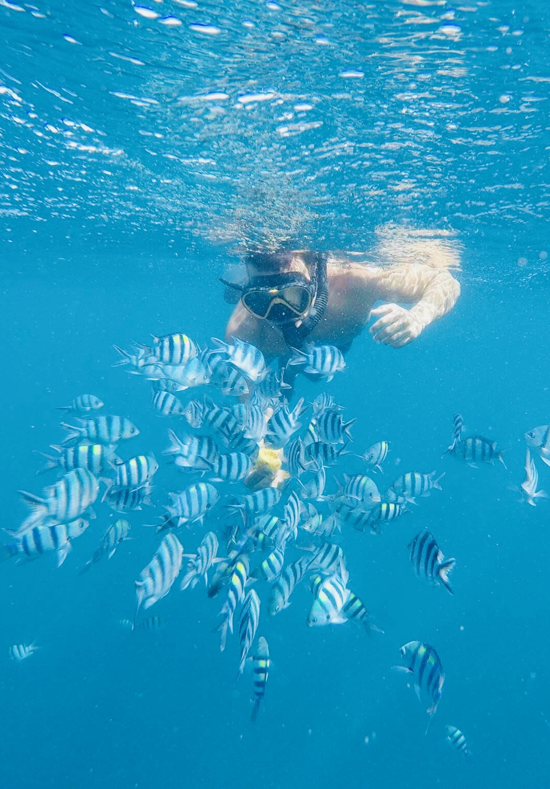 Buhay Isla snorkeling.jpg