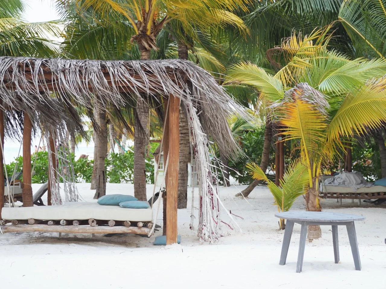 Mandarina+Holbox.jpg