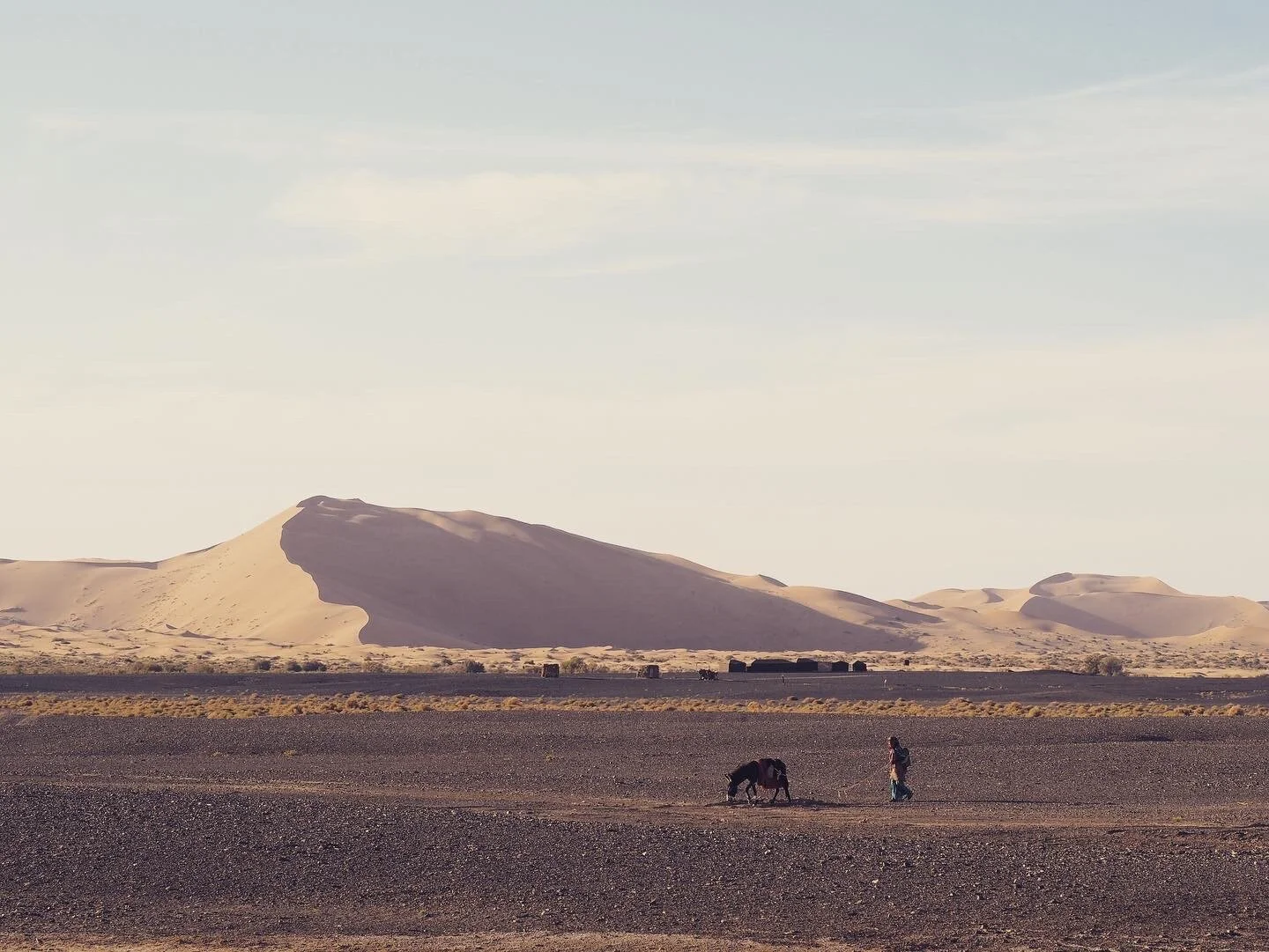 The best of Marrakech and the Sahara