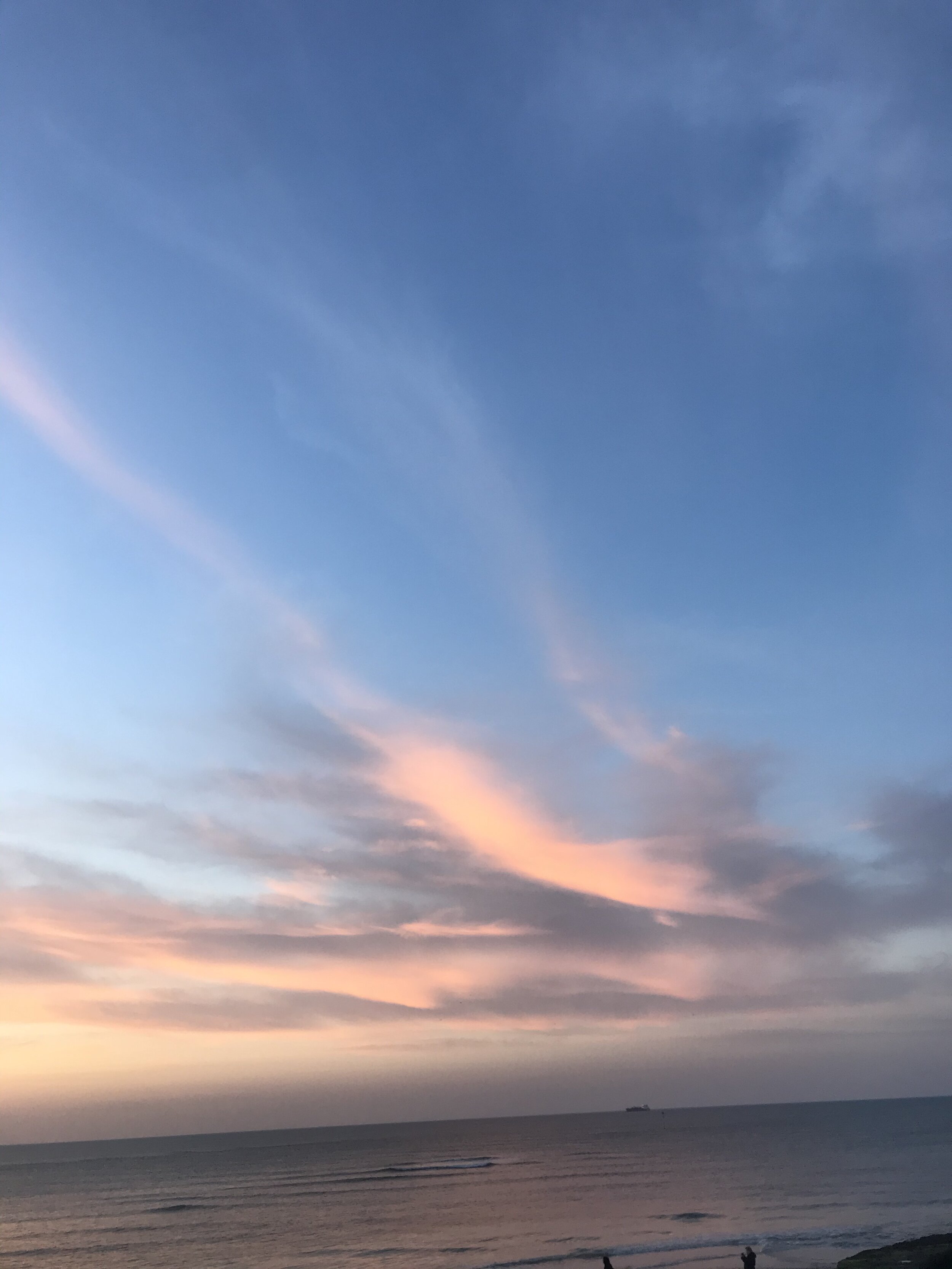 IMG_1871.jpeg