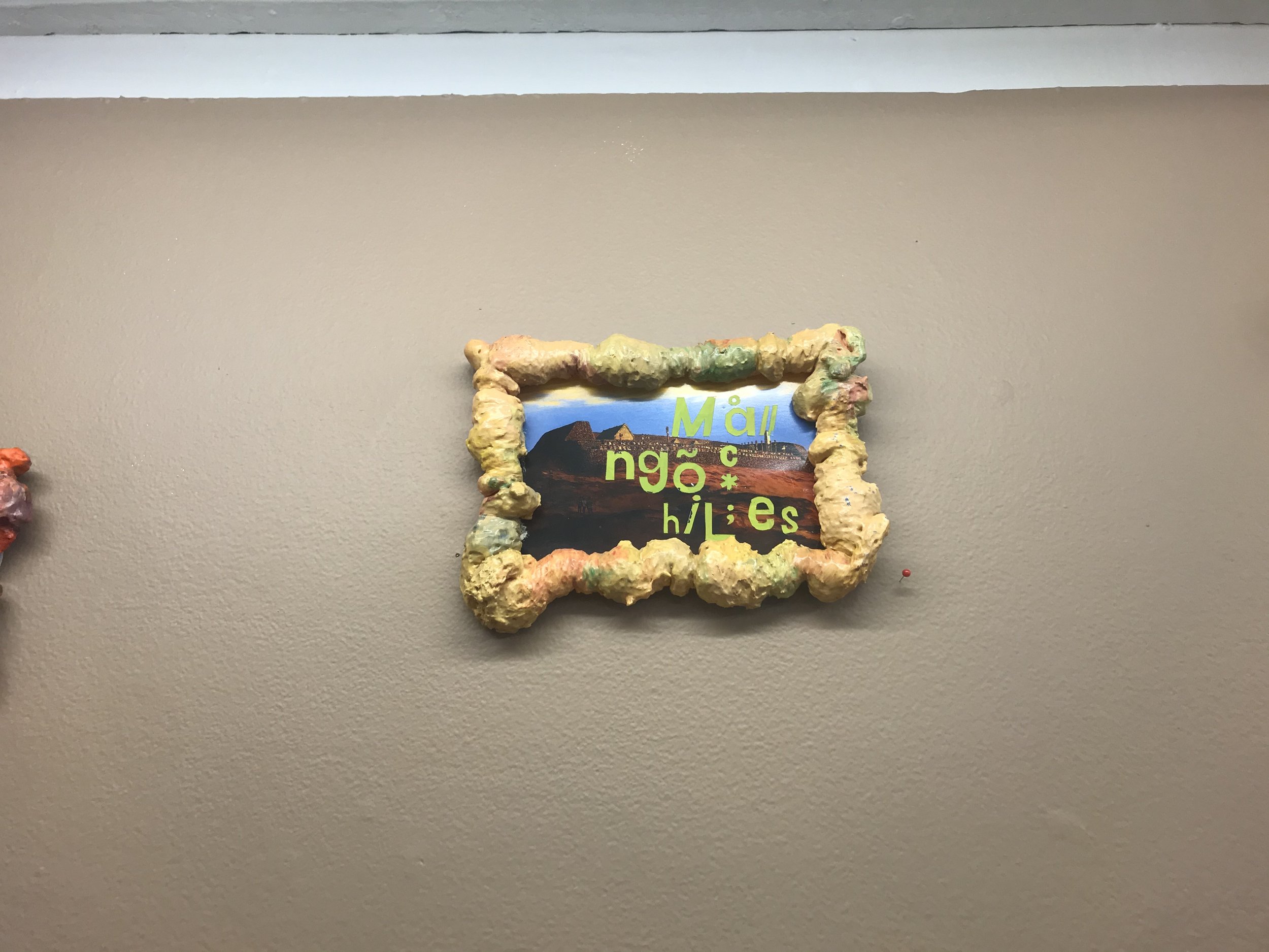 IMG_7672.jpeg
