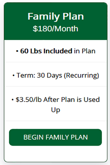The Family Plan