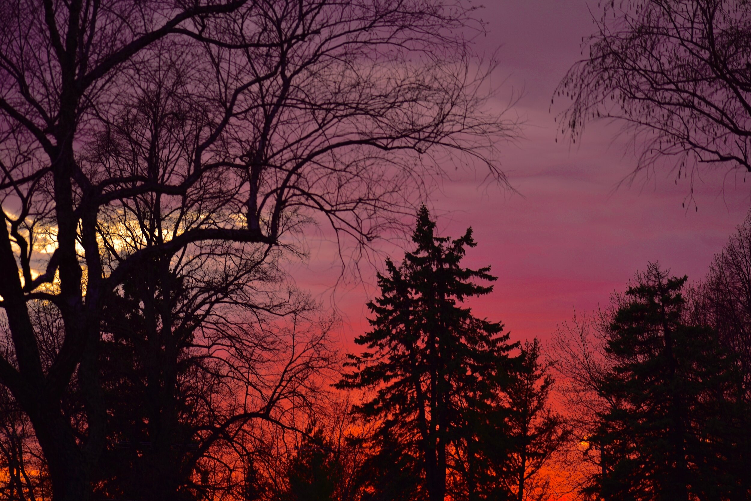 C4B68ABD-3C1E-44D6-B581-660E457D208A.jpeg