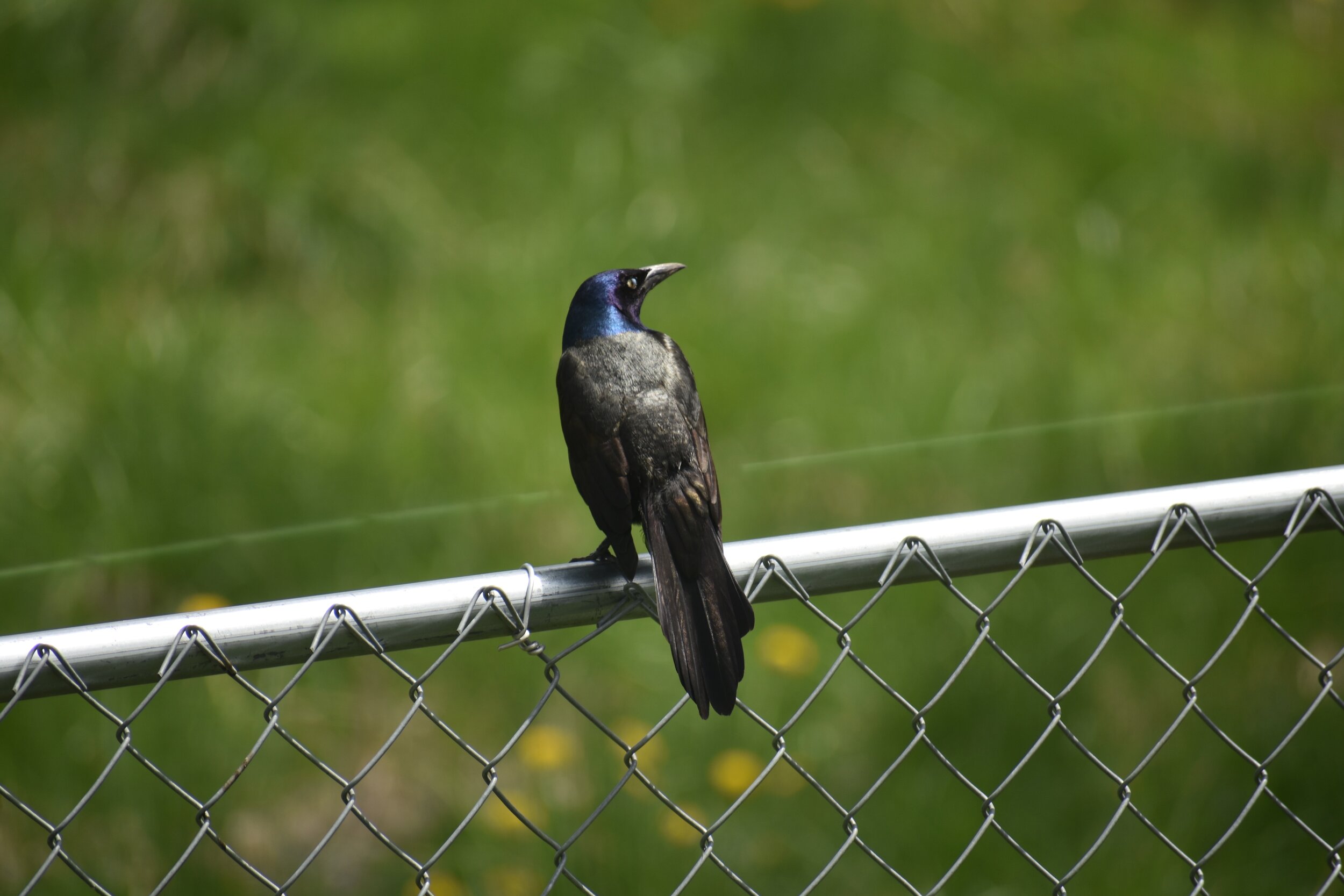B36D1082-37FE-46B3-AAE6-56B4A3BFE799.jpeg