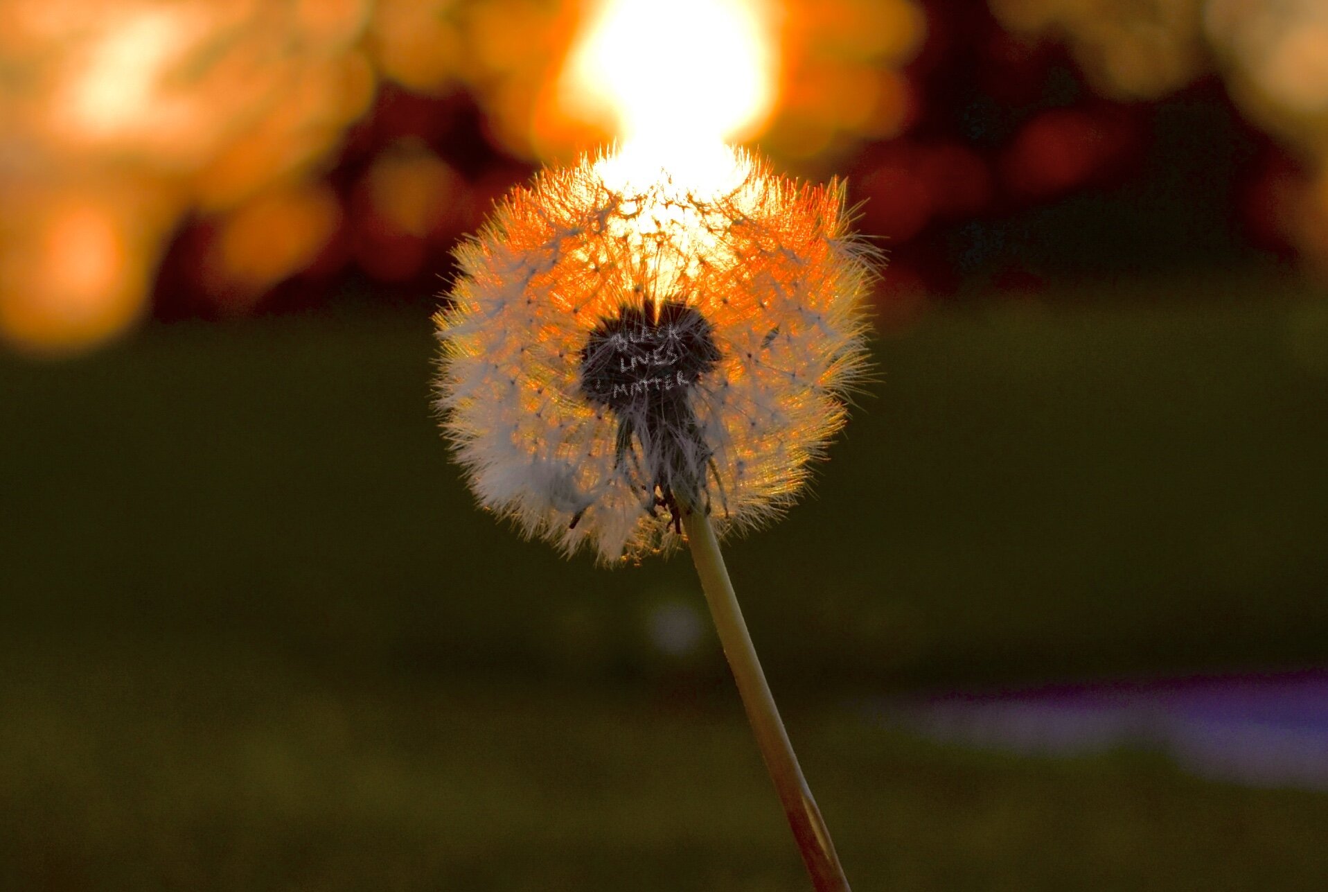 EB1557B5-66EC-40BF-9024-A424D223BDBA.jpeg