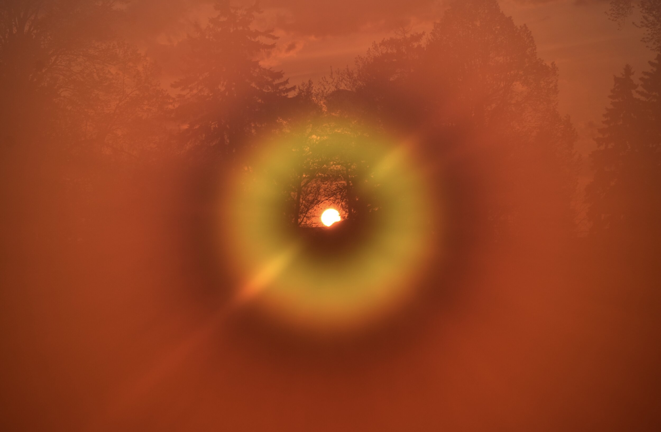 31FEC586-9CEA-428F-80A2-66E6ED837D75.jpeg