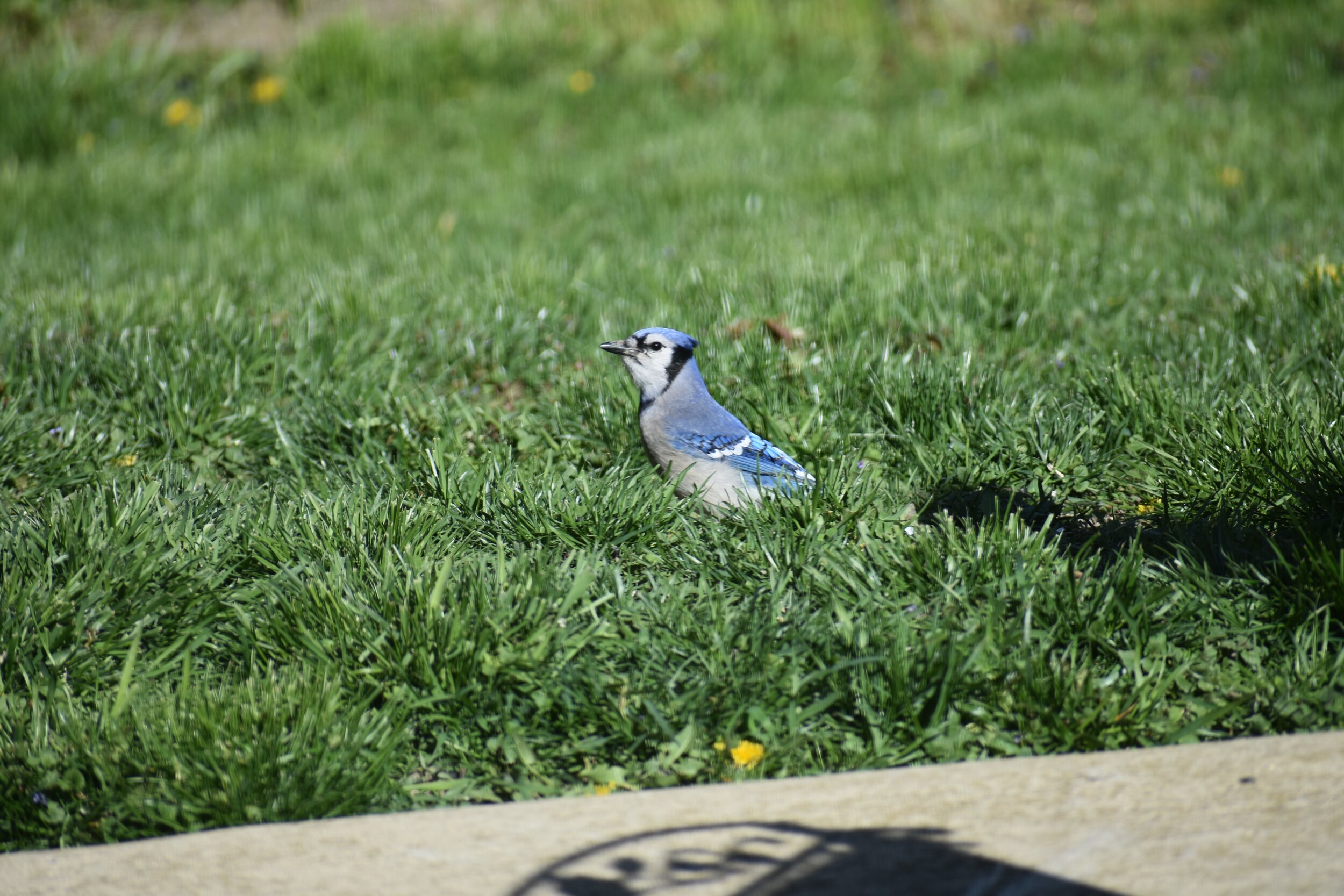 8F110D25-42E4-4DF5-BB0F-4D372D167227.jpeg