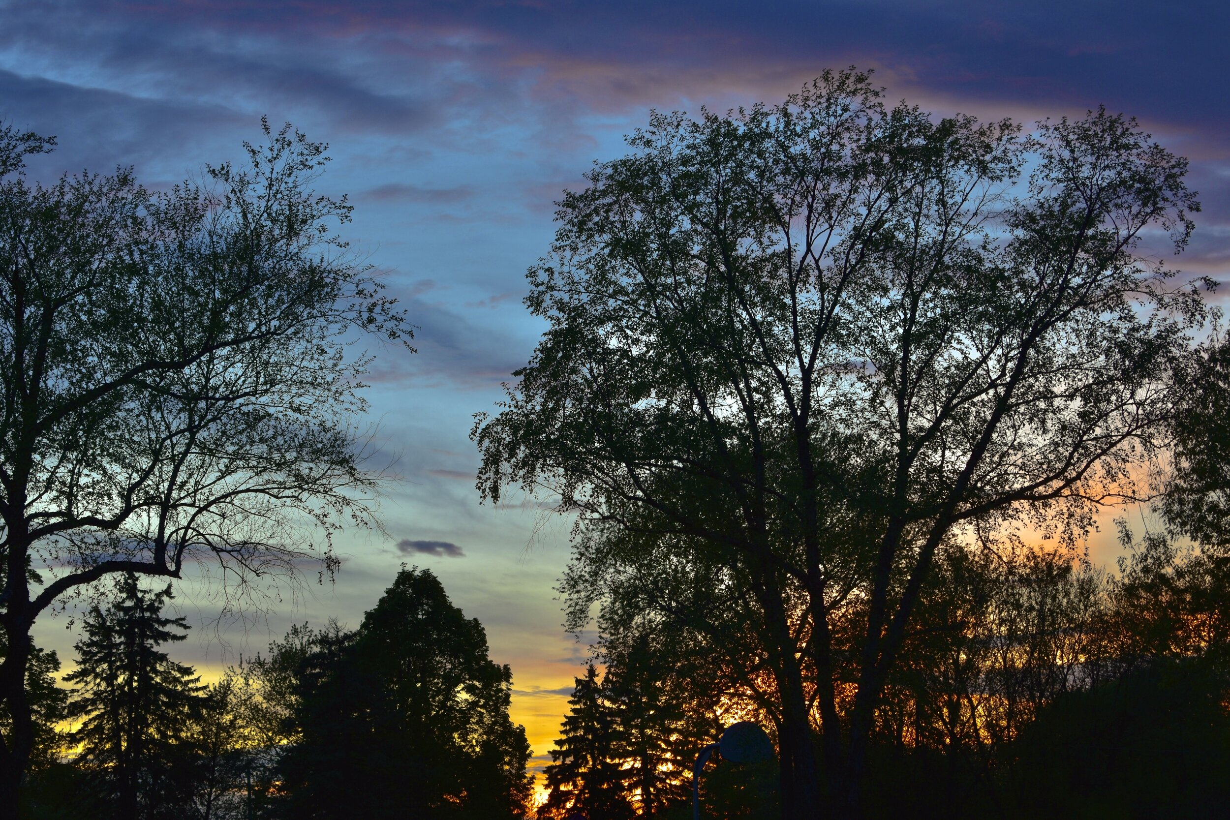 C40A331C-F6B3-4B34-95EE-2DC335D536AD.jpeg