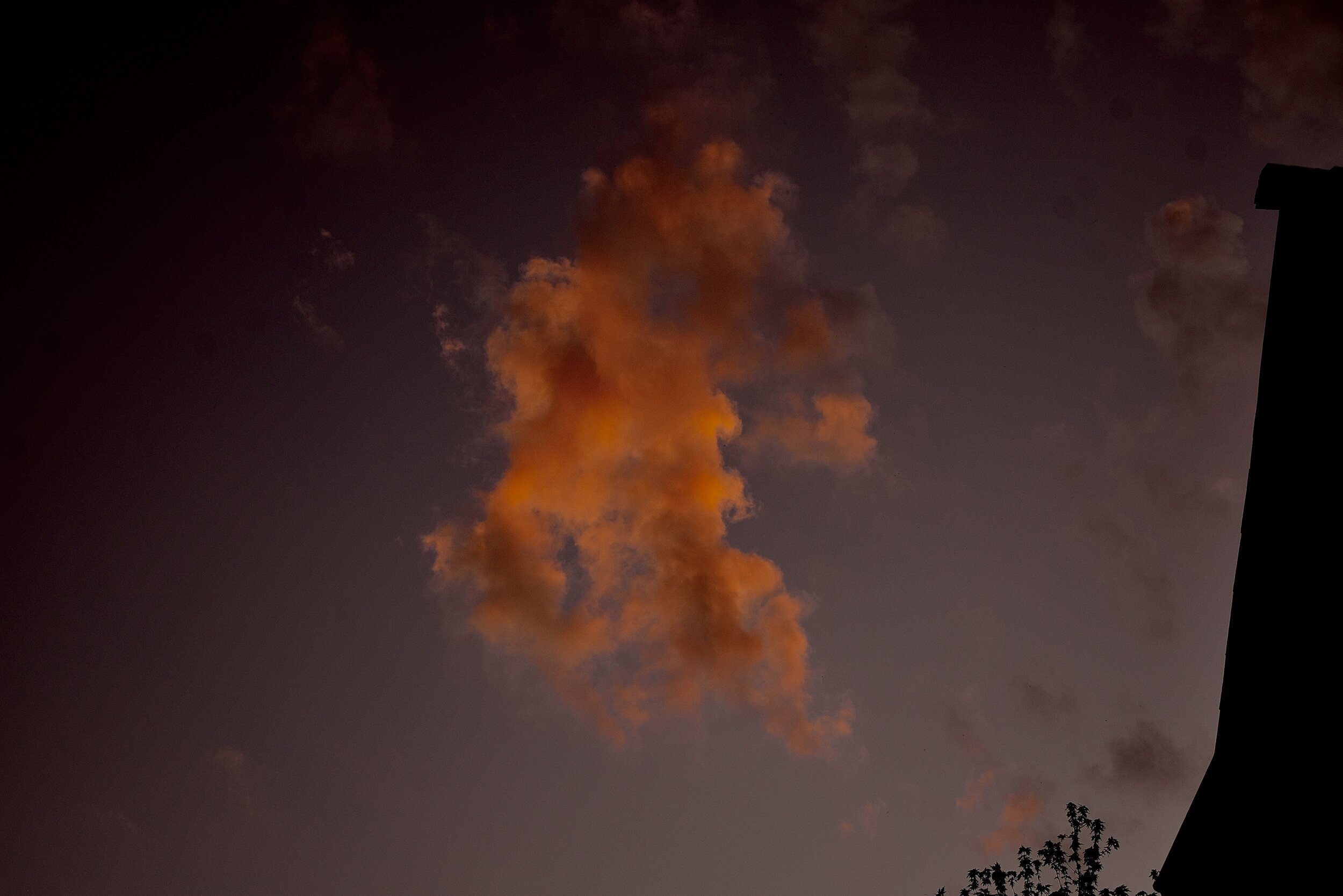 1F5E2126-42A4-4144-B369-42B9F3B319AF.jpeg