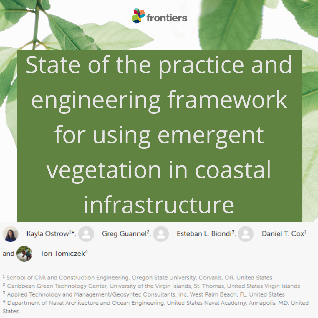 Using Emergent Vegetation in Coastal Infrastructure