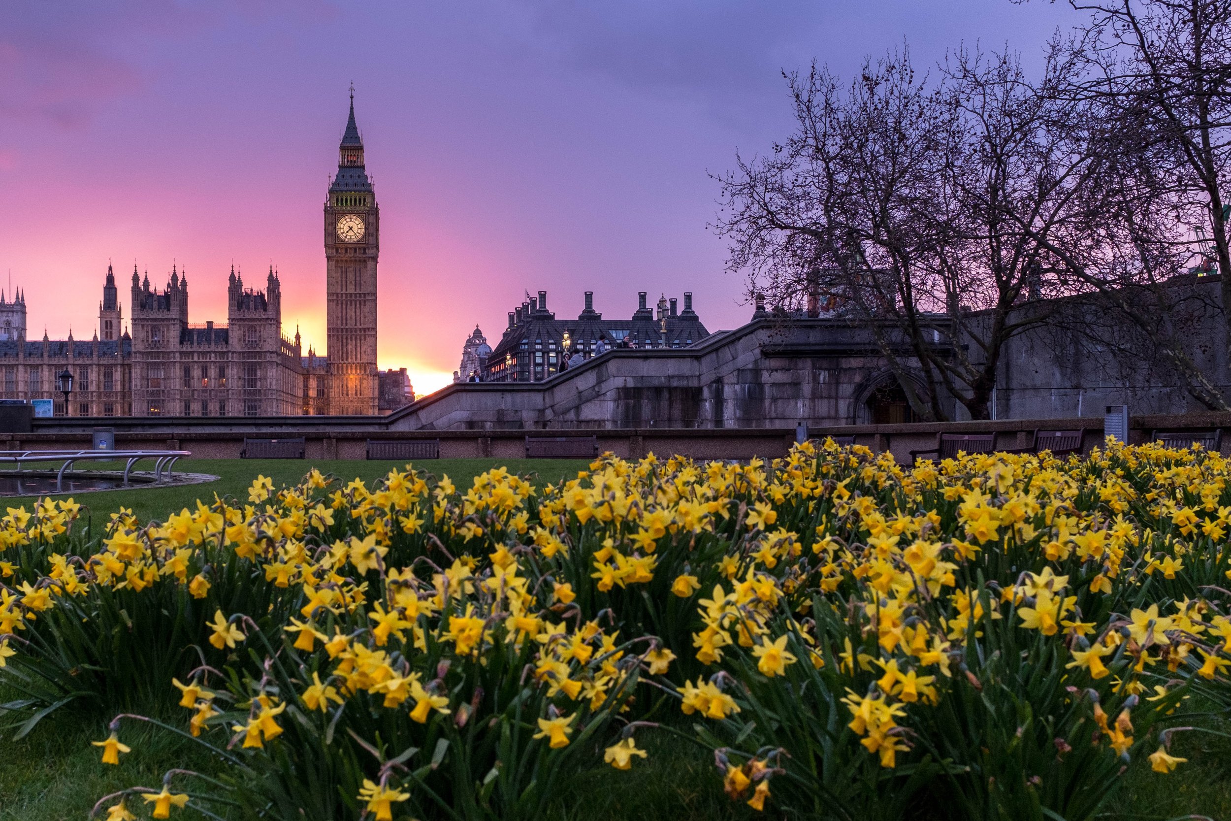 London, UK.jpg