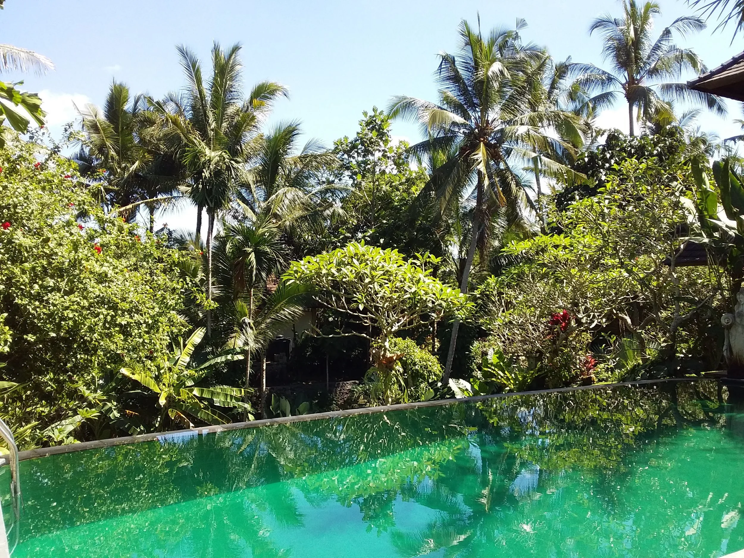 20190509_110621.jpg