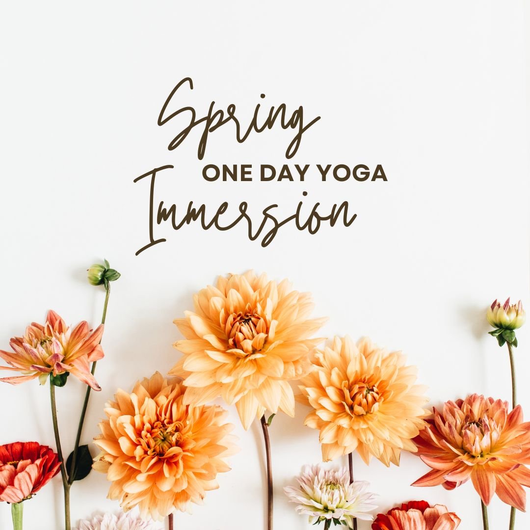 Spring One Day Immersion