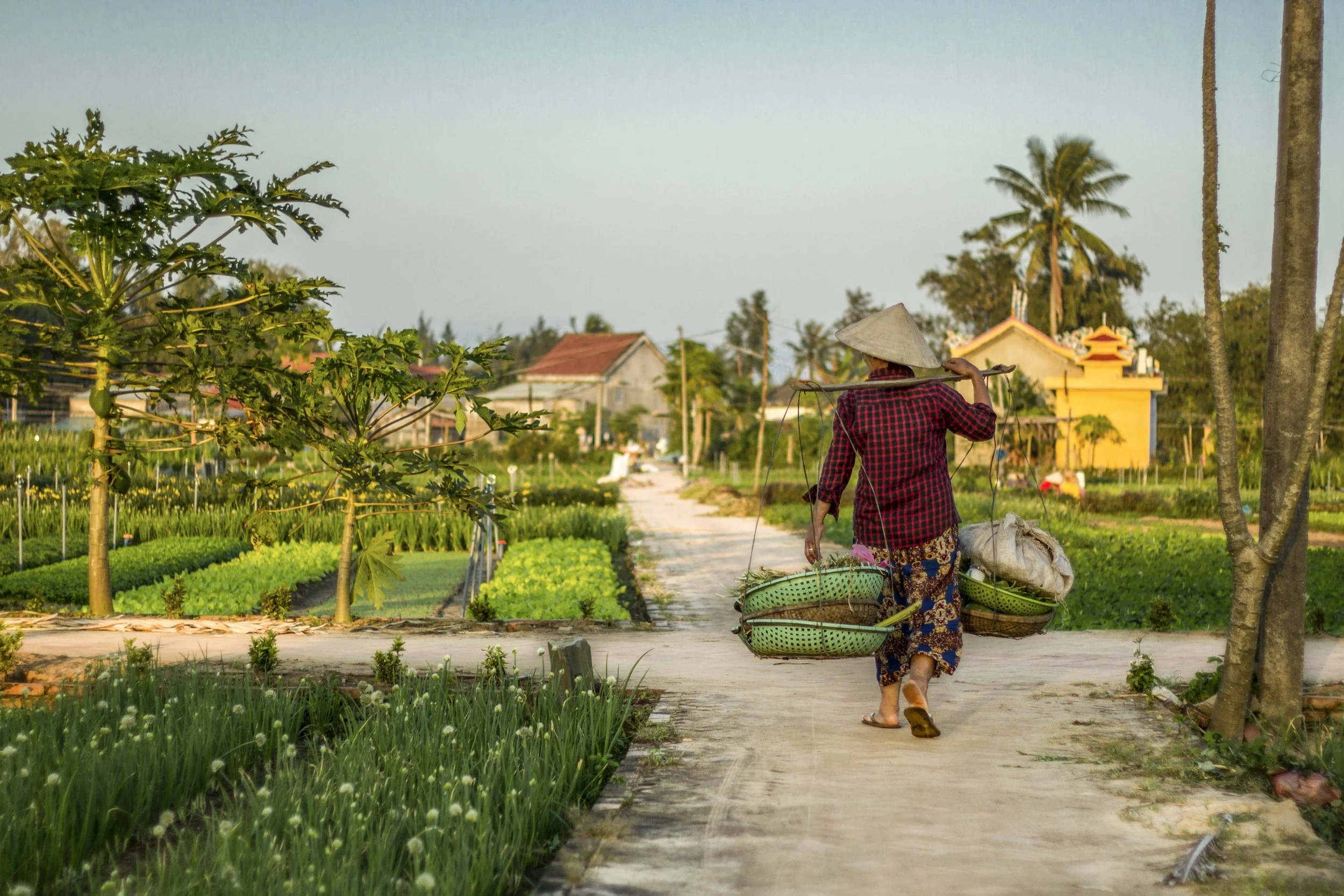 Ease & Explore Retreat, Vietnam