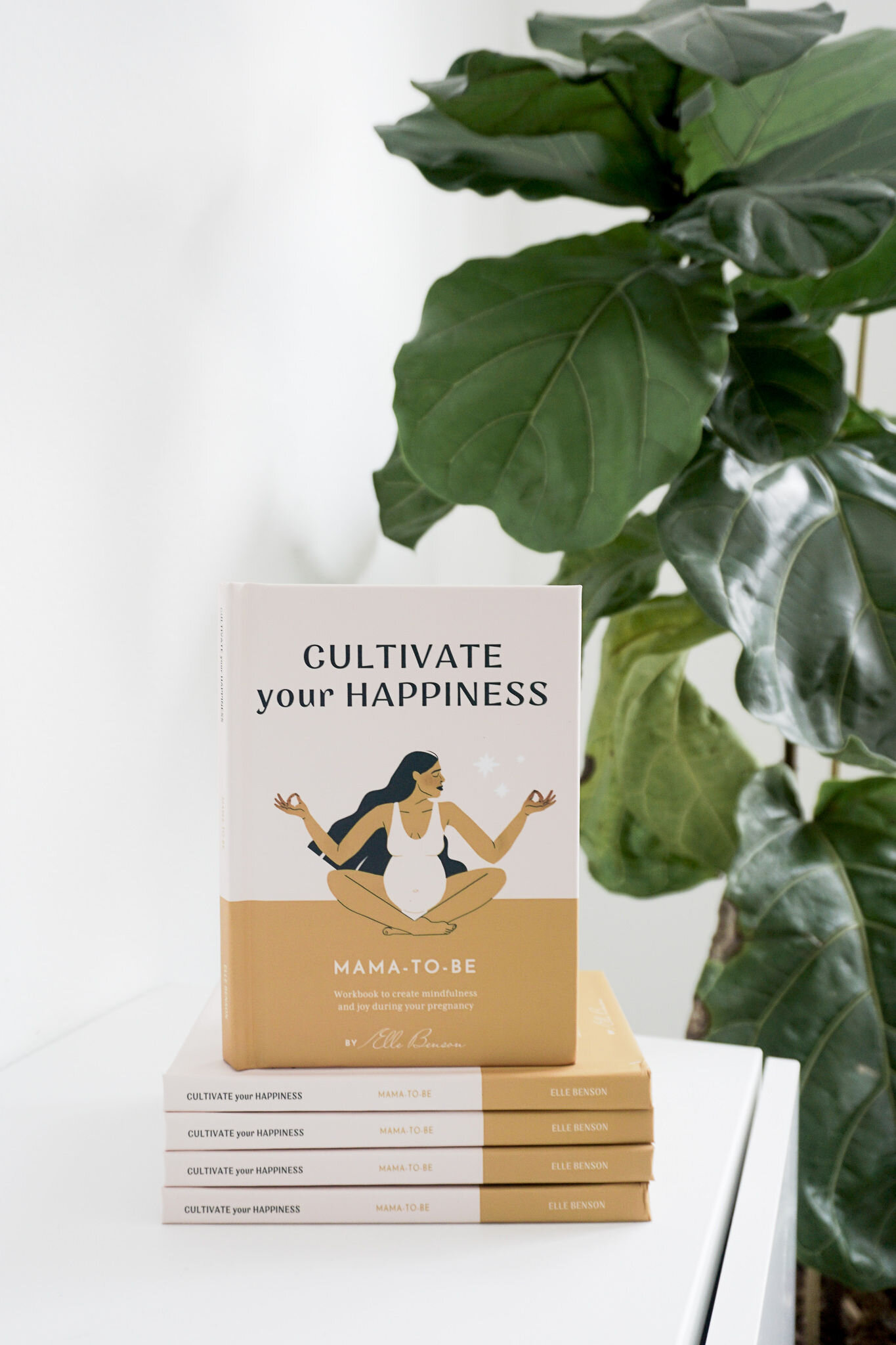 Cultivate Your Happiness: Mama-to-Be Workbook 