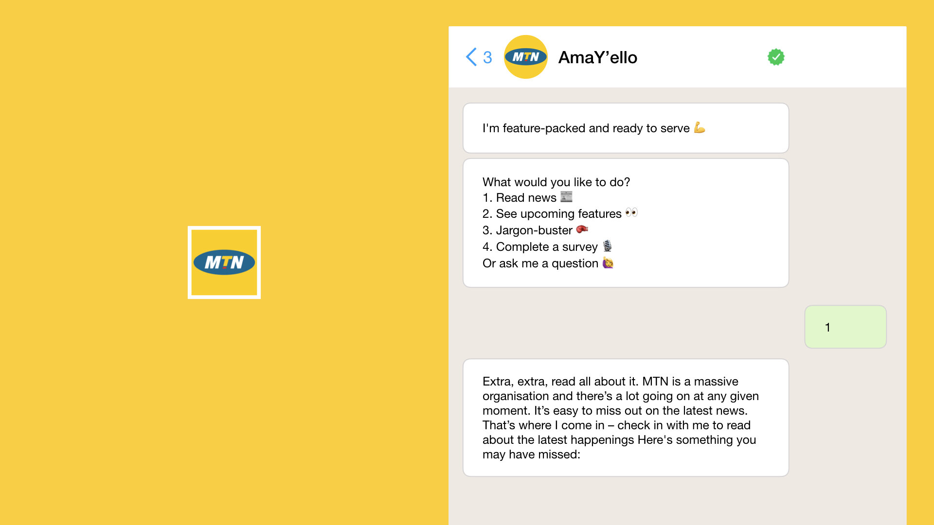 mtn-case-study.001.jpeg