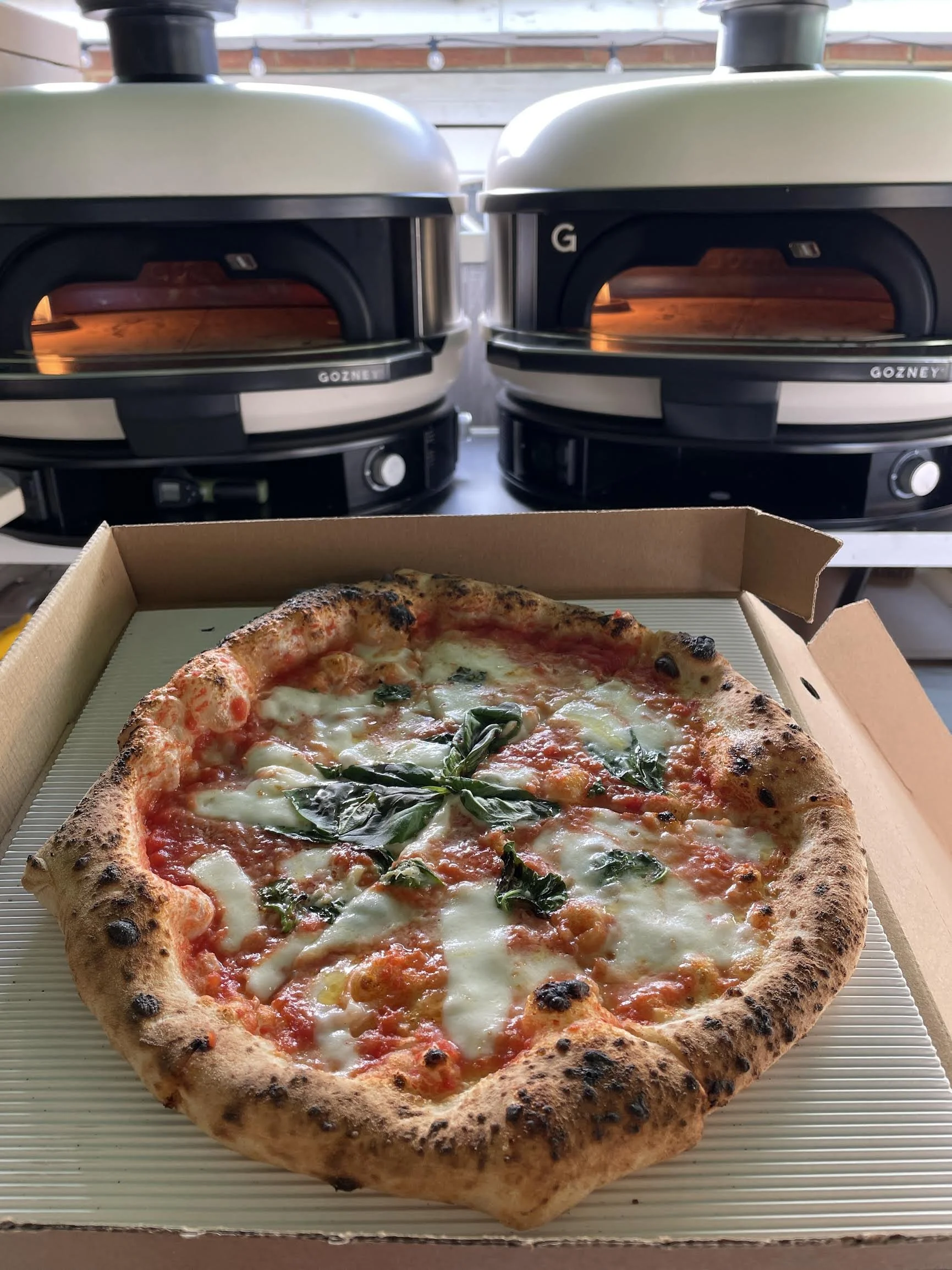 Waterworks Brewery Pizza 2.jpeg