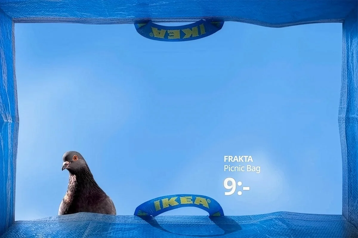 IKEA FRAKTA campaign visual featuring a pigeon sitting inside a large blue FRAKTA bag with clear sky backdrop, highlighting the playful concept of the FRAKTA picnic bag priced at 9.