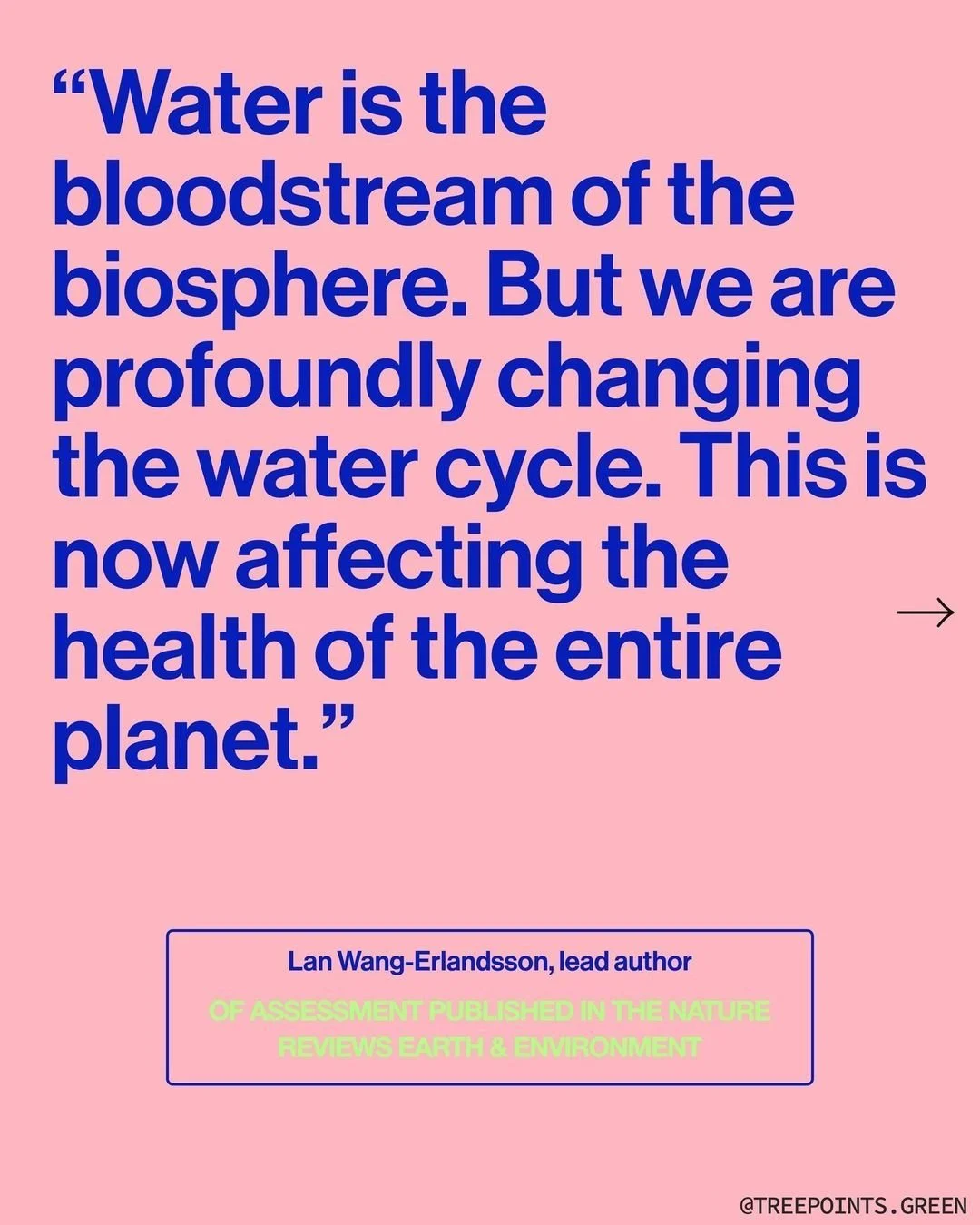 image-asset.jpg