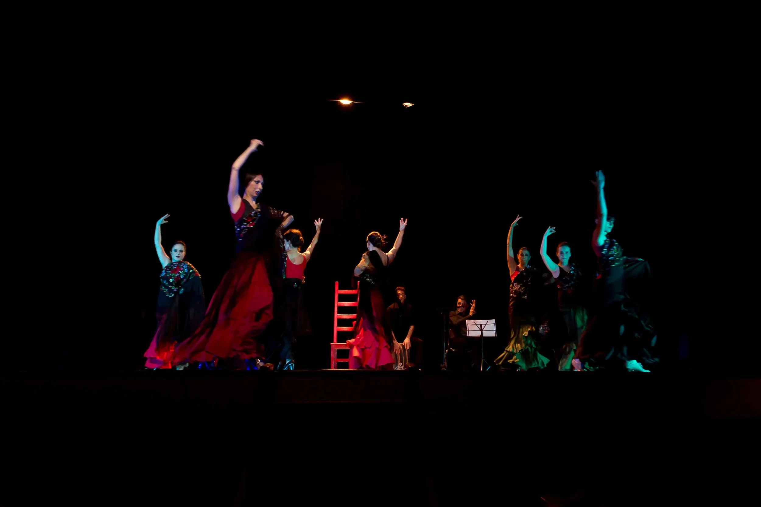 bassa-don-chisciotte-cammino-flamenco-brescia-53.jpg