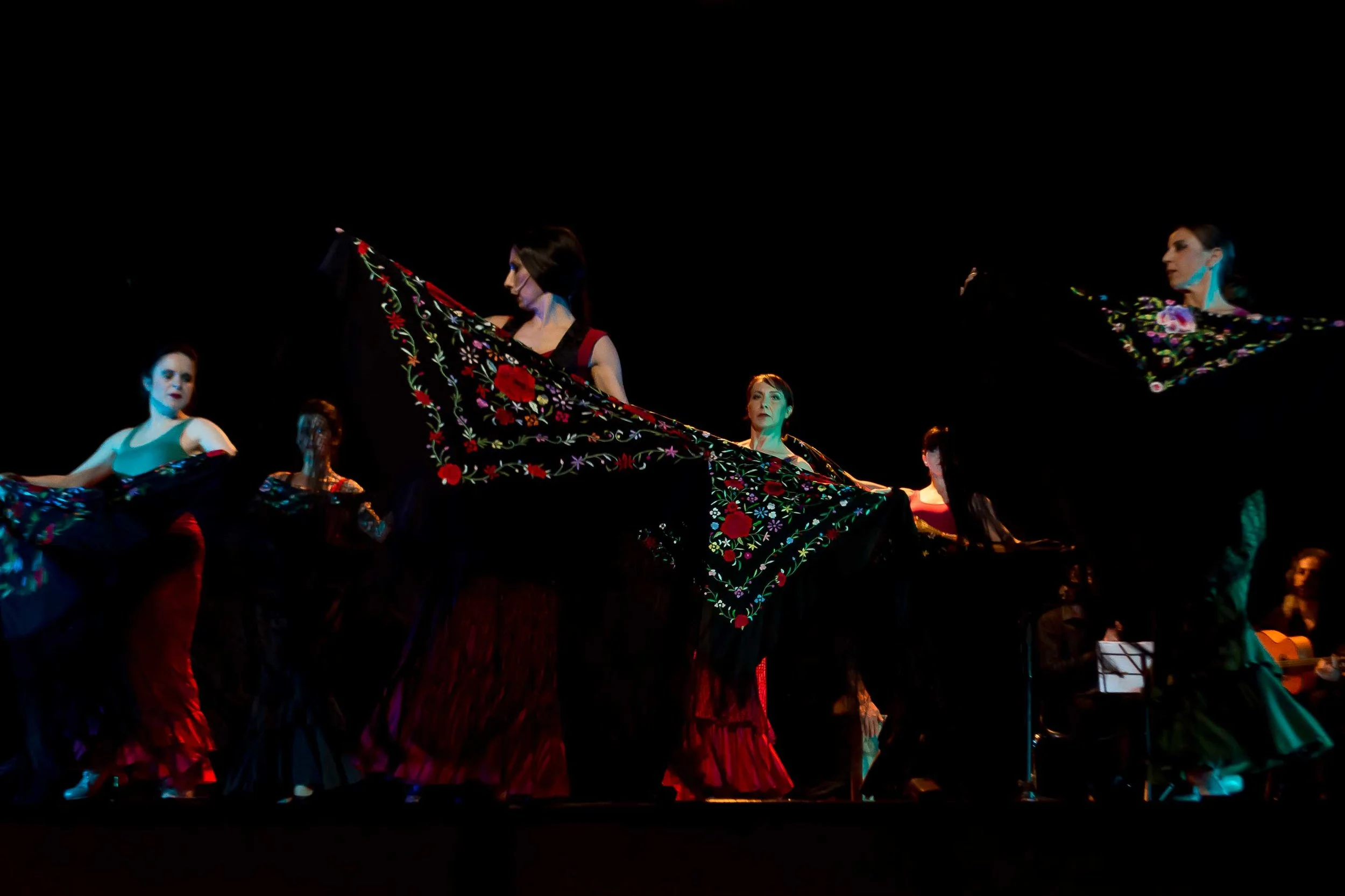 bassa-don-chisciotte-cammino-flamenco-brescia-54.jpg