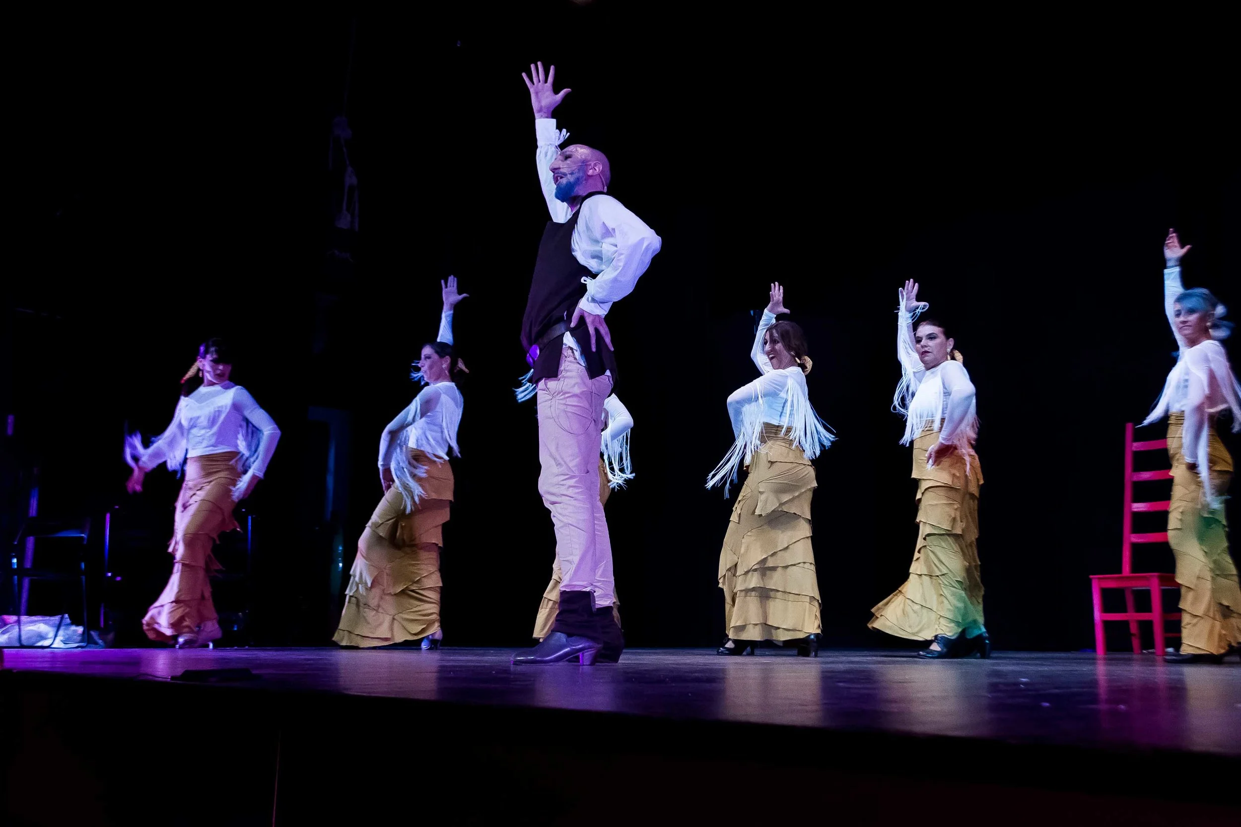 bassa-don-chisciotte-cammino-flamenco-brescia-117.jpg