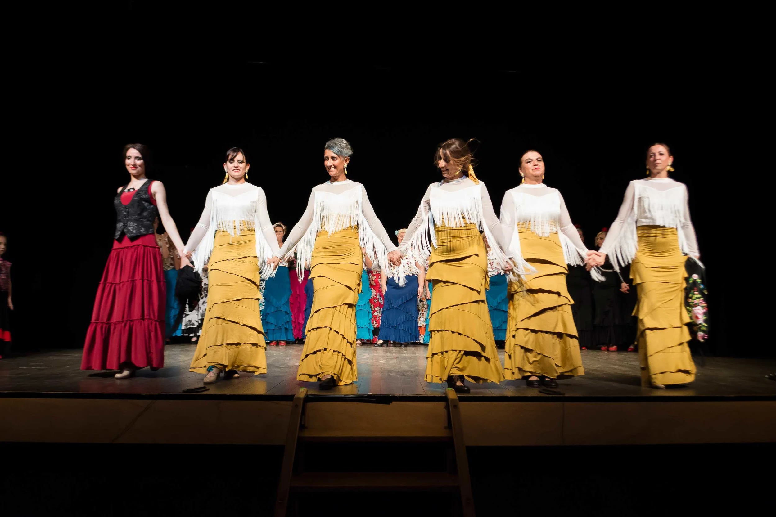 bassa-don-chisciotte-cammino-flamenco-brescia-168.jpg