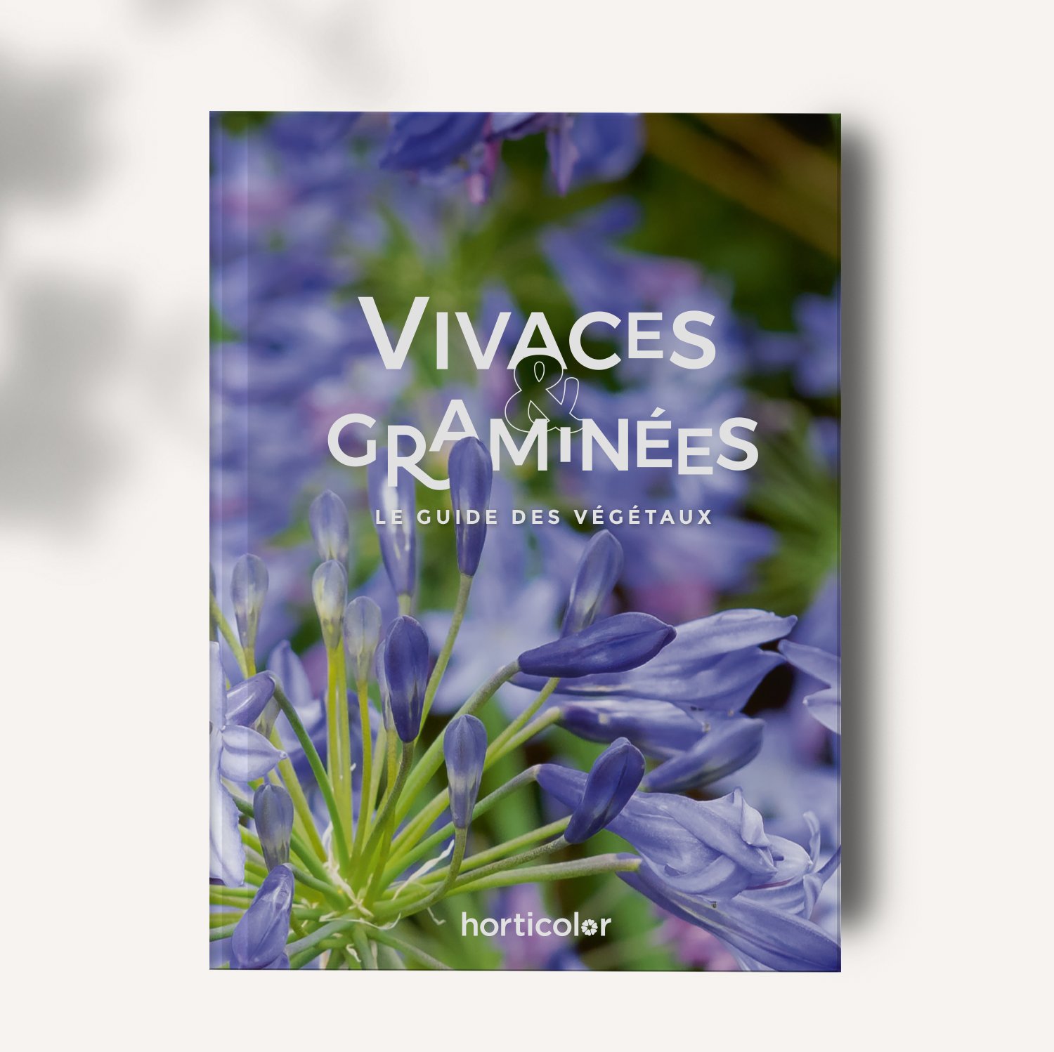 EDITION-MOCK-UP-VIVACES-FACE2.jpg