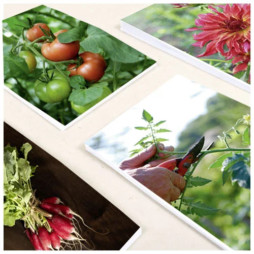 horticolor-photos.jpg