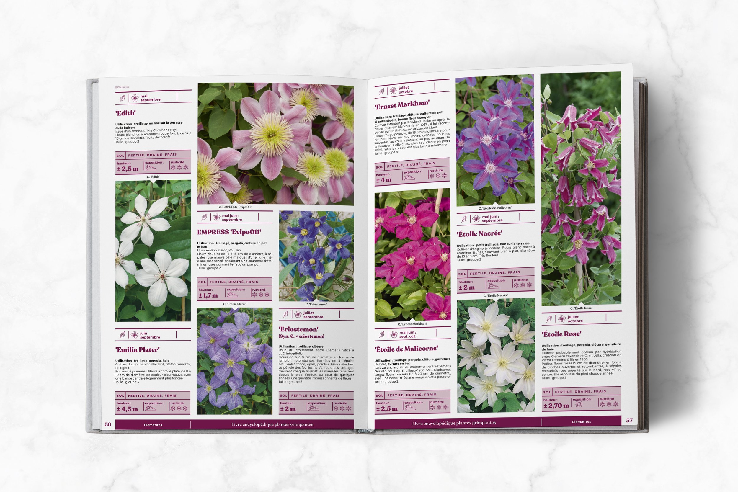 mockup2-interieur-page-encyclo-grimpante2.jpg
