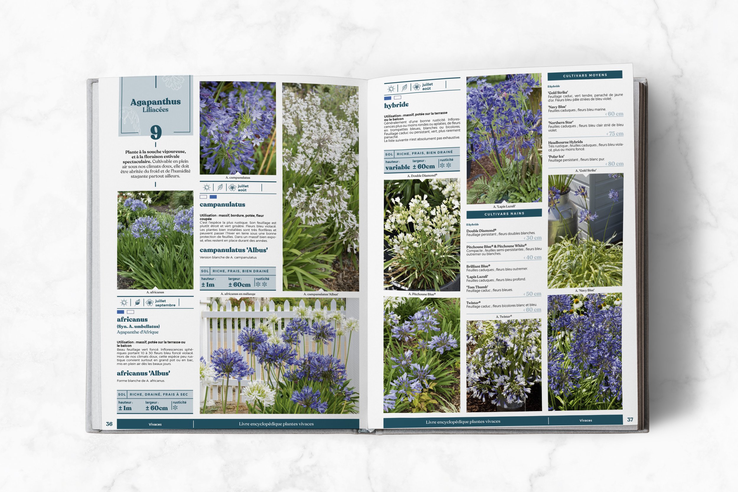 mockup2-interieur-page-encyclo.jpg