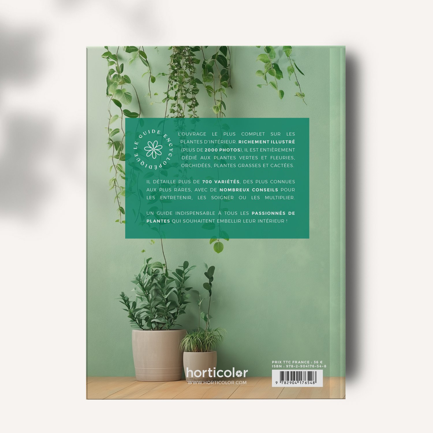 EDITION-MOCK-UP-planteinterieur-DOS.jpg