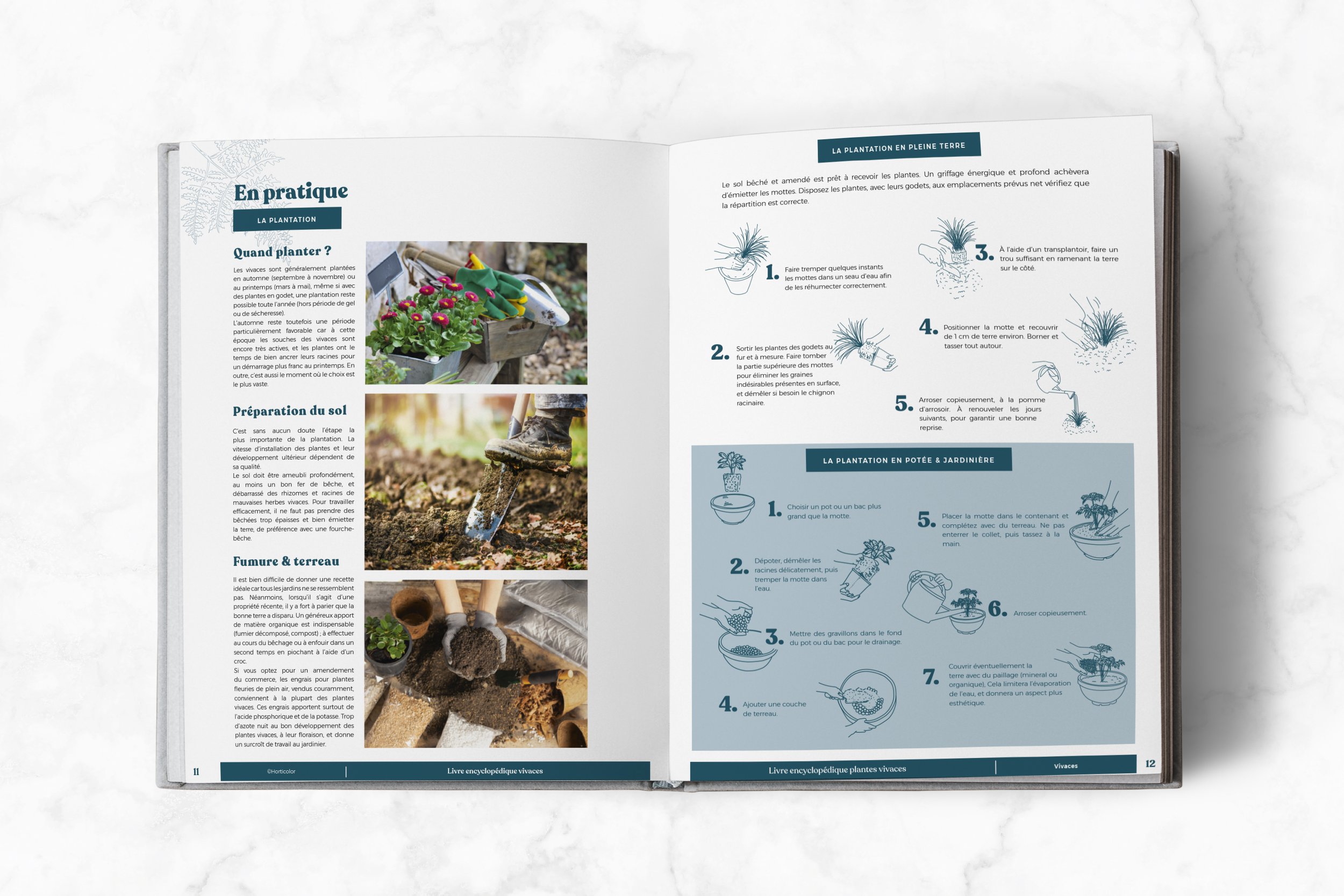 mockup2-interieur-page-encyclo7.jpg