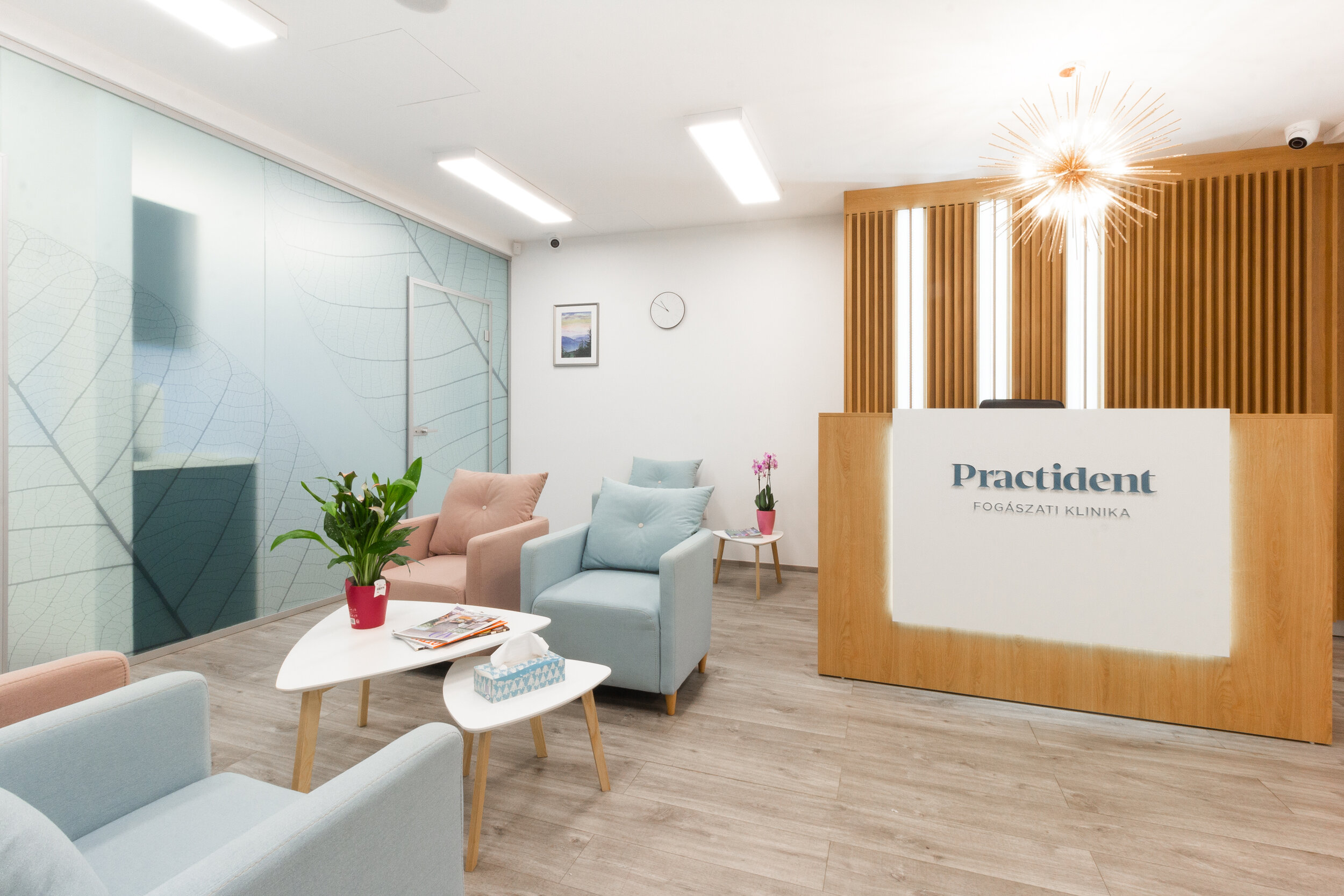 Practident - Dental Clinic - Lobby