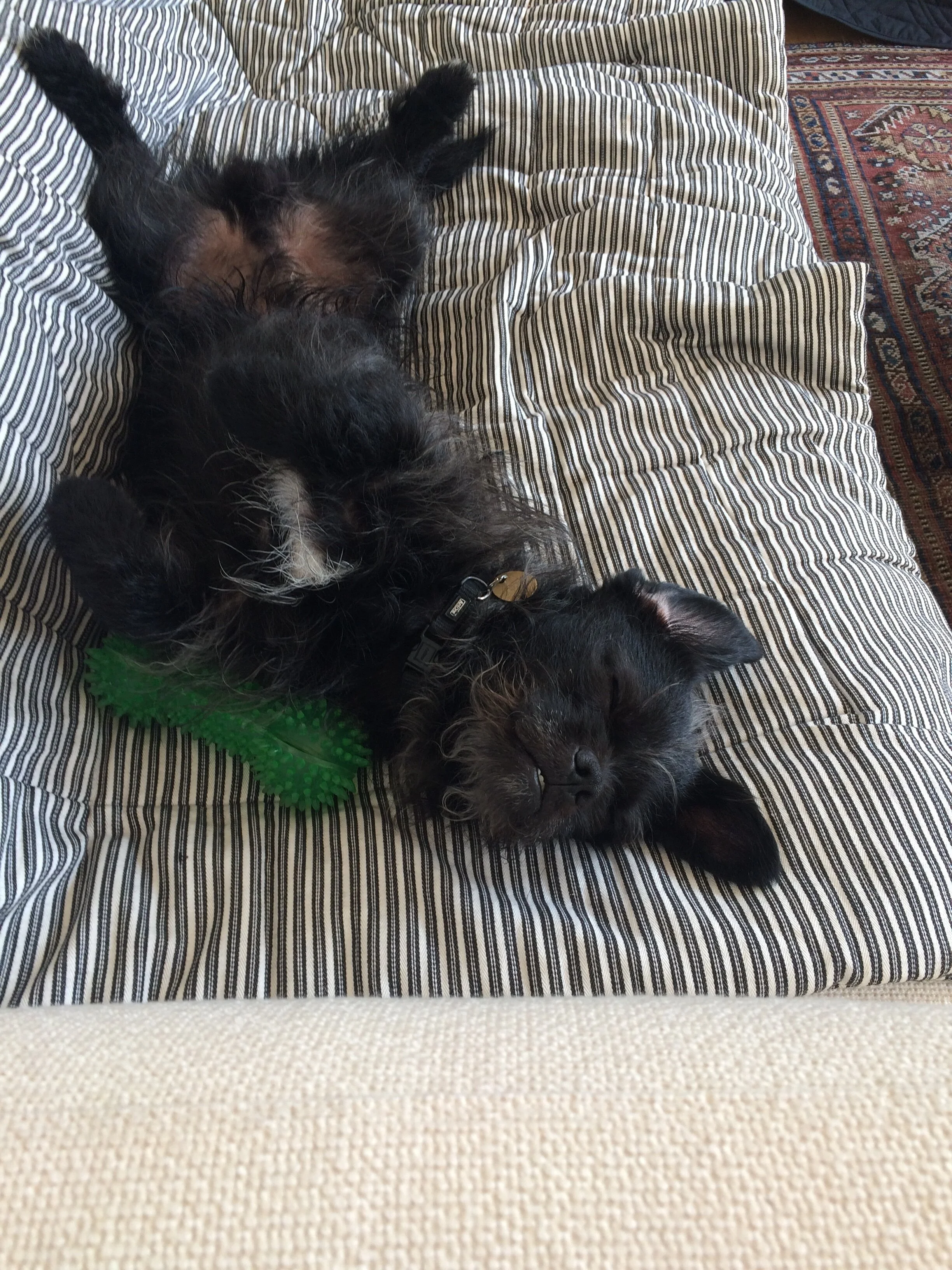 Ep. 35 - Vi har glemt mildheden