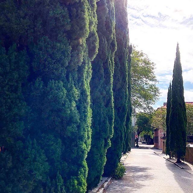 another #Charleston road trip #architecture #historicpreservation #landscape #gardendesign