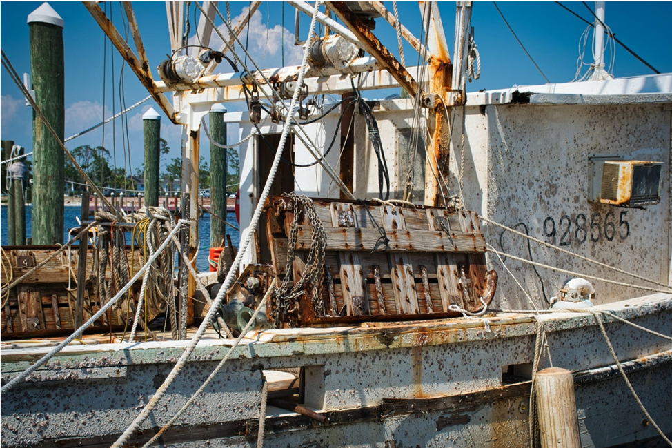 A Fish and a Wish: Alistair Macleod’s The Boat</em>
