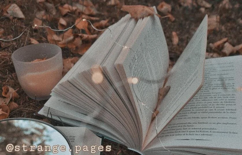Fall Reads
