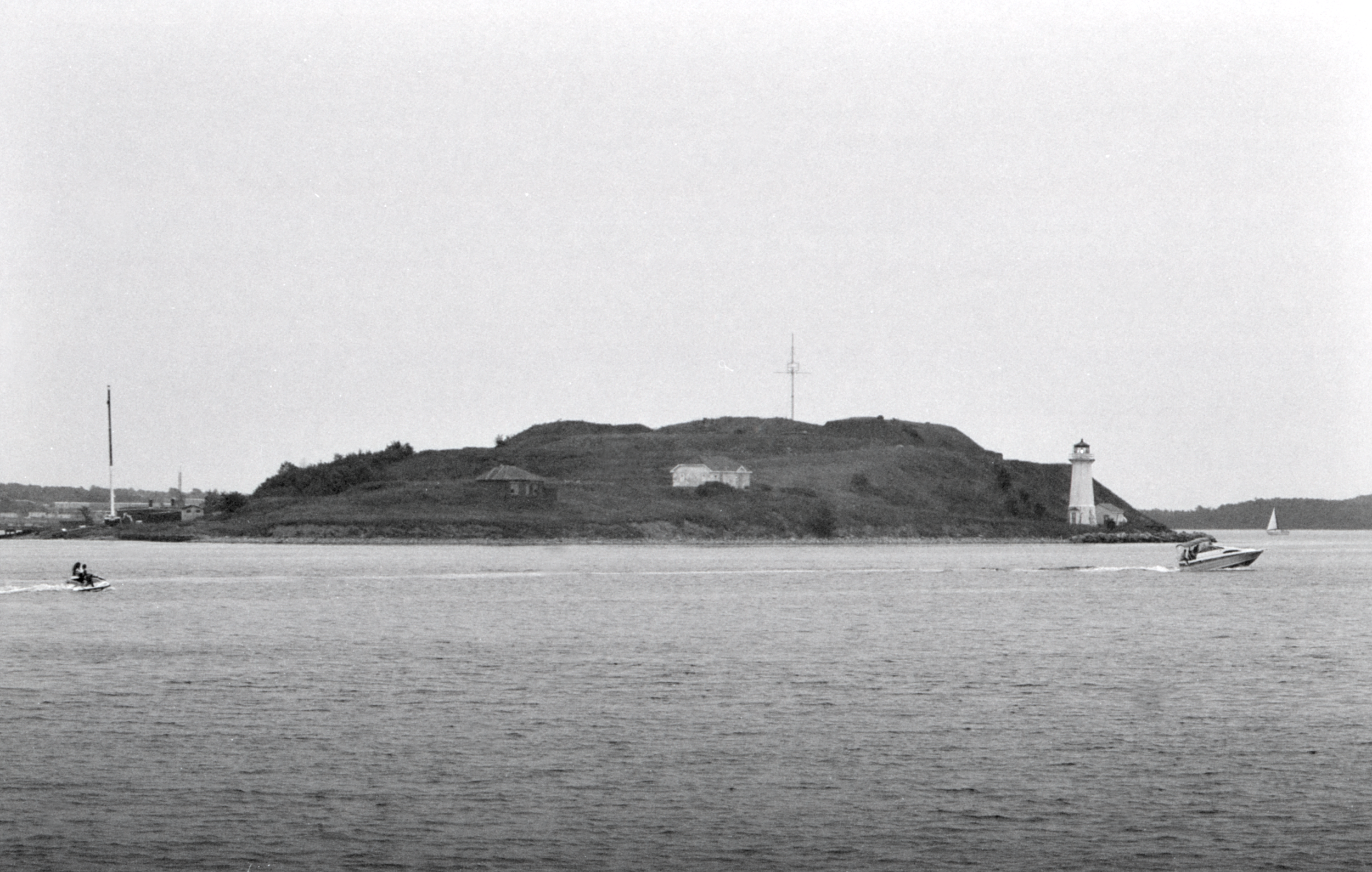 A Snail's Paradise: A Journey to Georges Island
