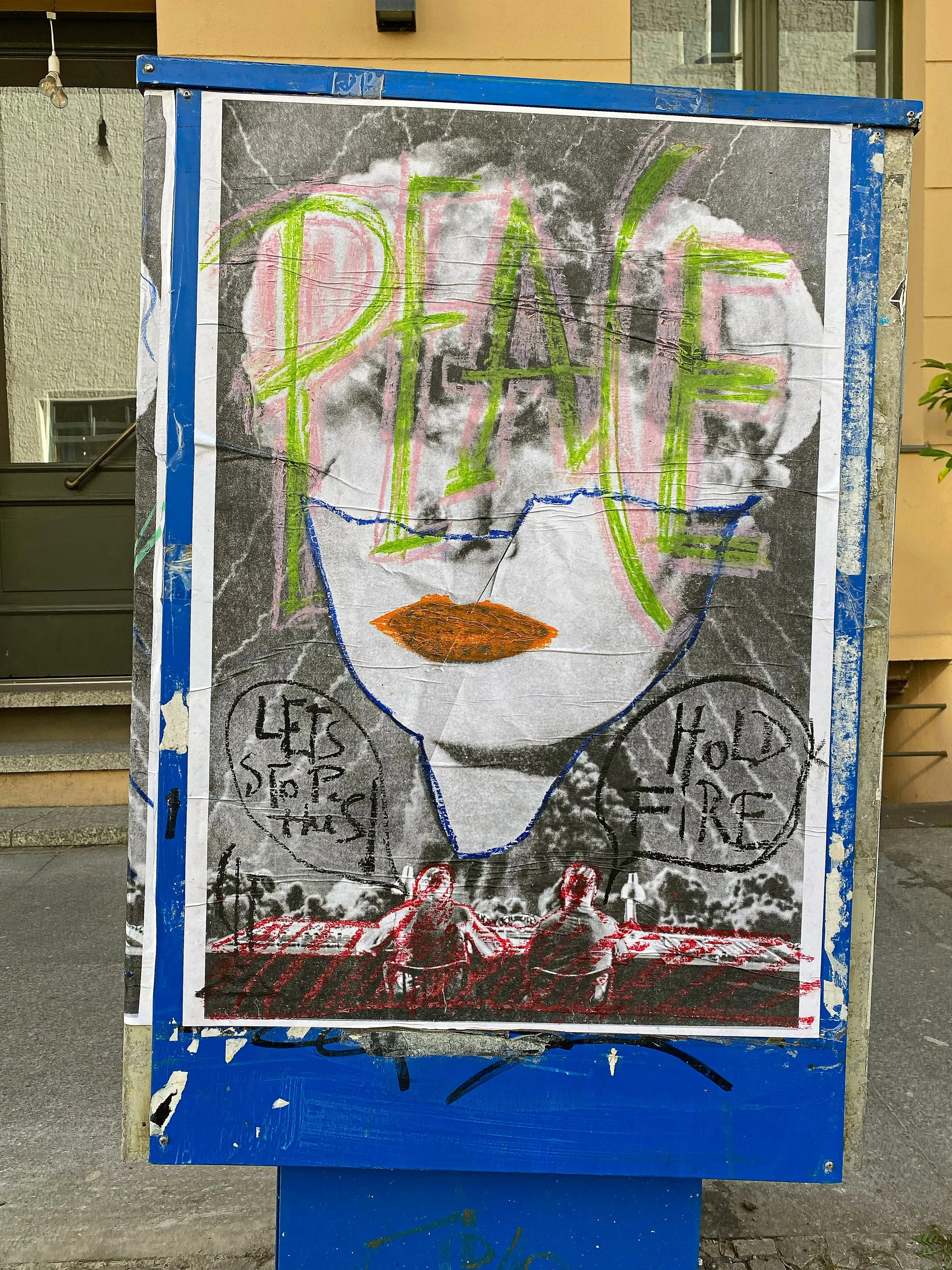 Accessible Activism in a Changing World: How You Can Make a Difference