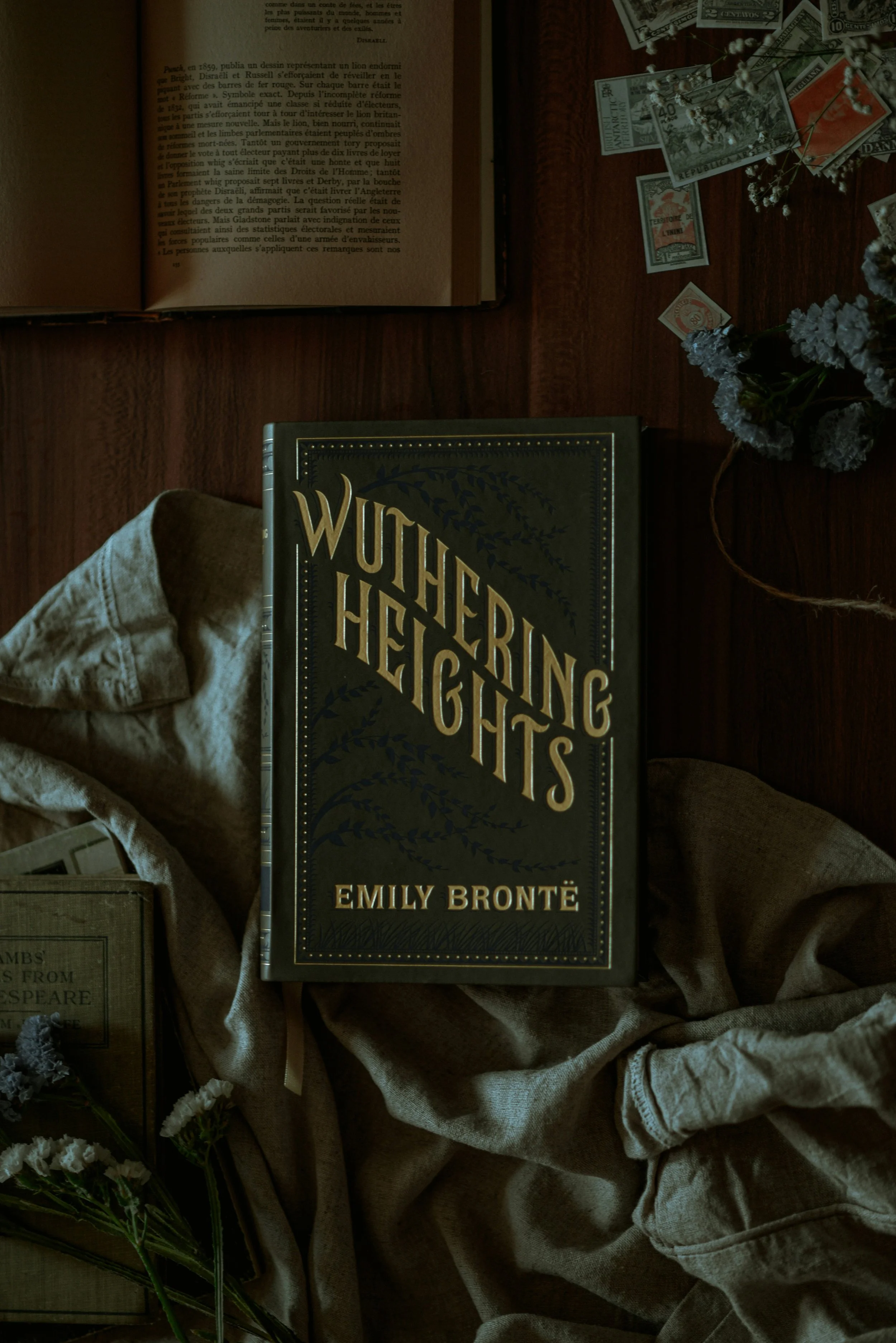 Not My Heathcliff!: The Wuthering Heights Controversy 