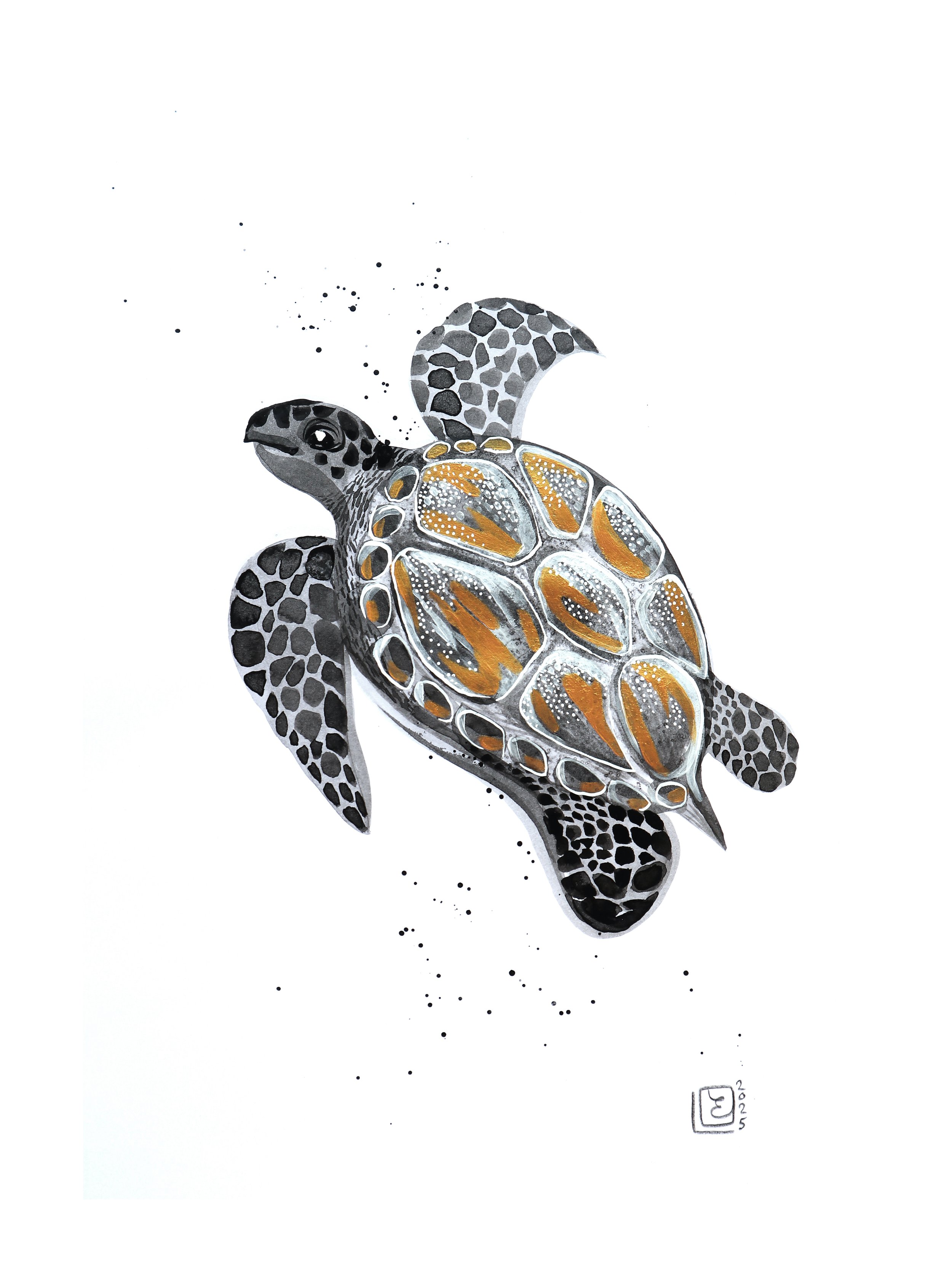 Mer des Caraïbes à l'encre