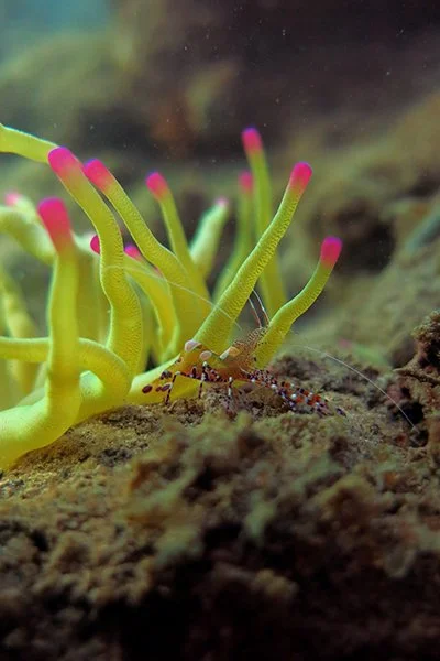 Images à couper le souffle