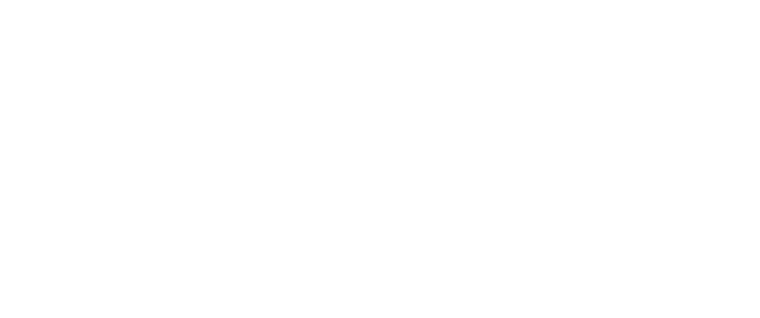 REYNOBOND--1500x628 2.4 Anamorphic Carlisle.png