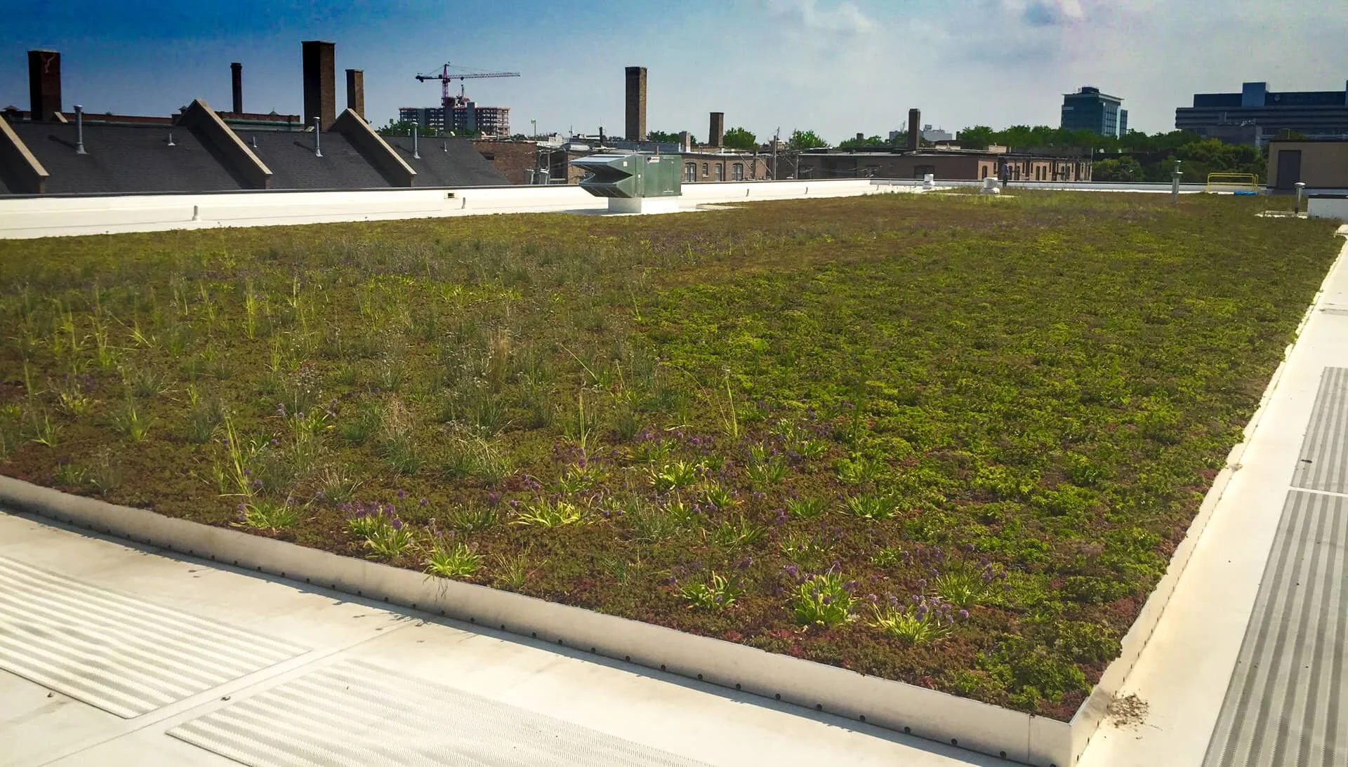 green-roofing-chicago.jpg