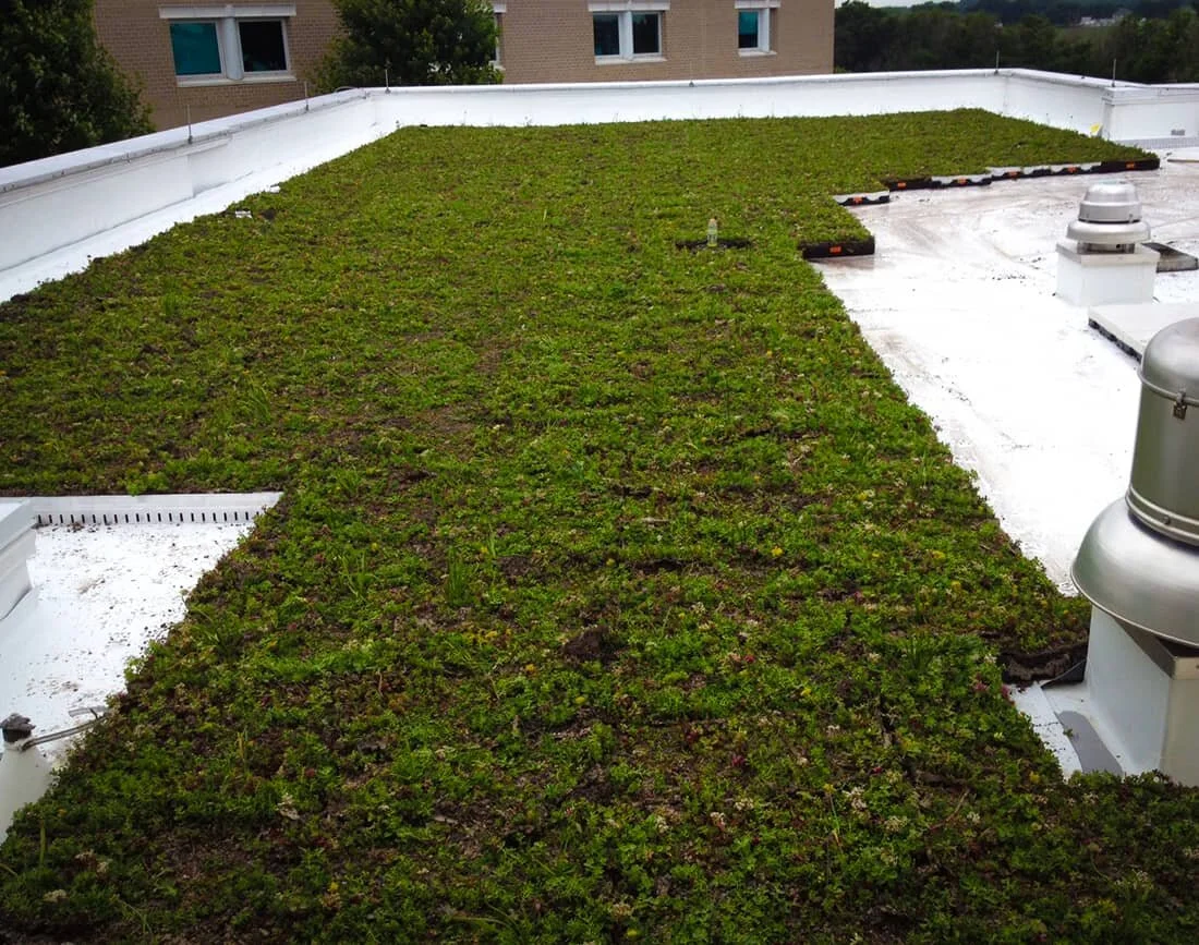 rush-roofing-project.jpg
