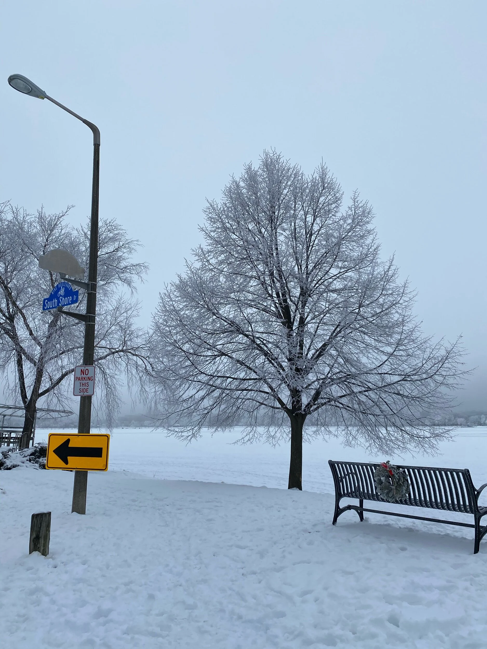 Give Space for the Tree