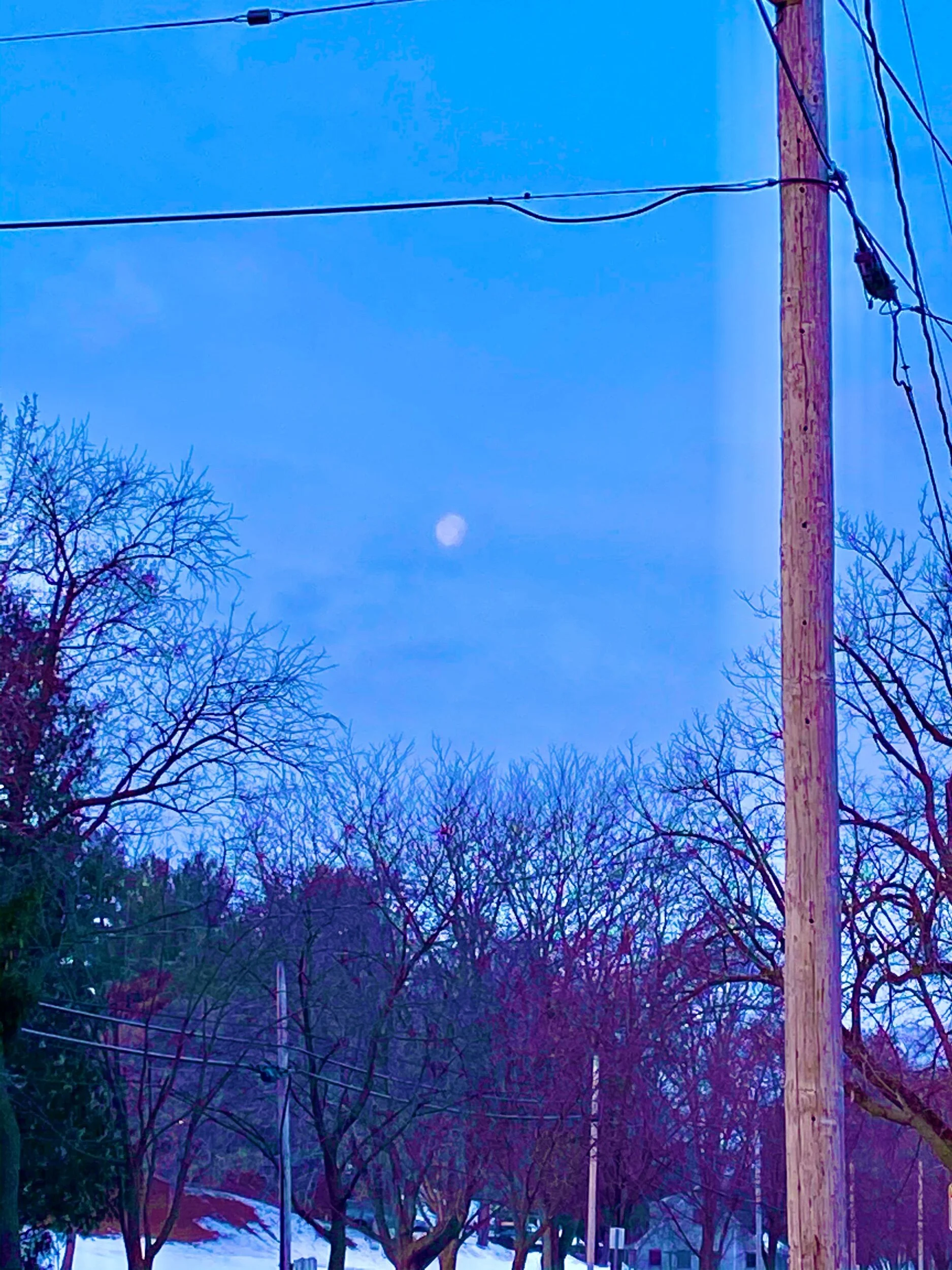 Joy Comes In The Morning