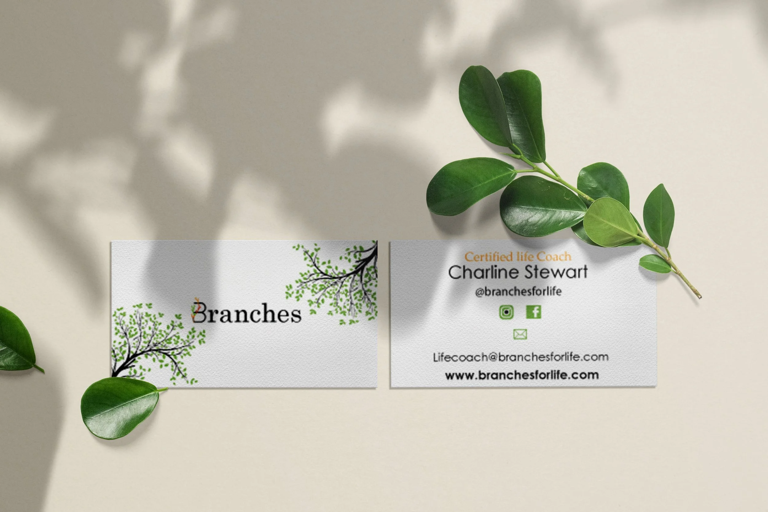 branches bussiness cards-Recovered.jpg