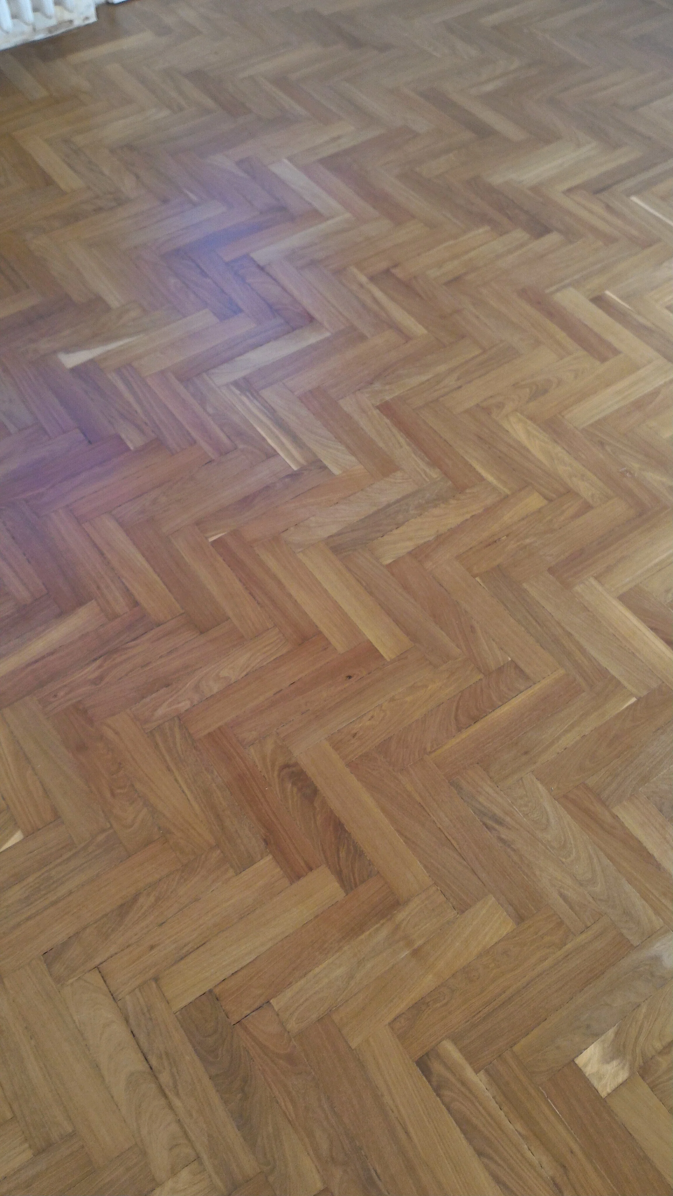 P_20170822_081844.jpg